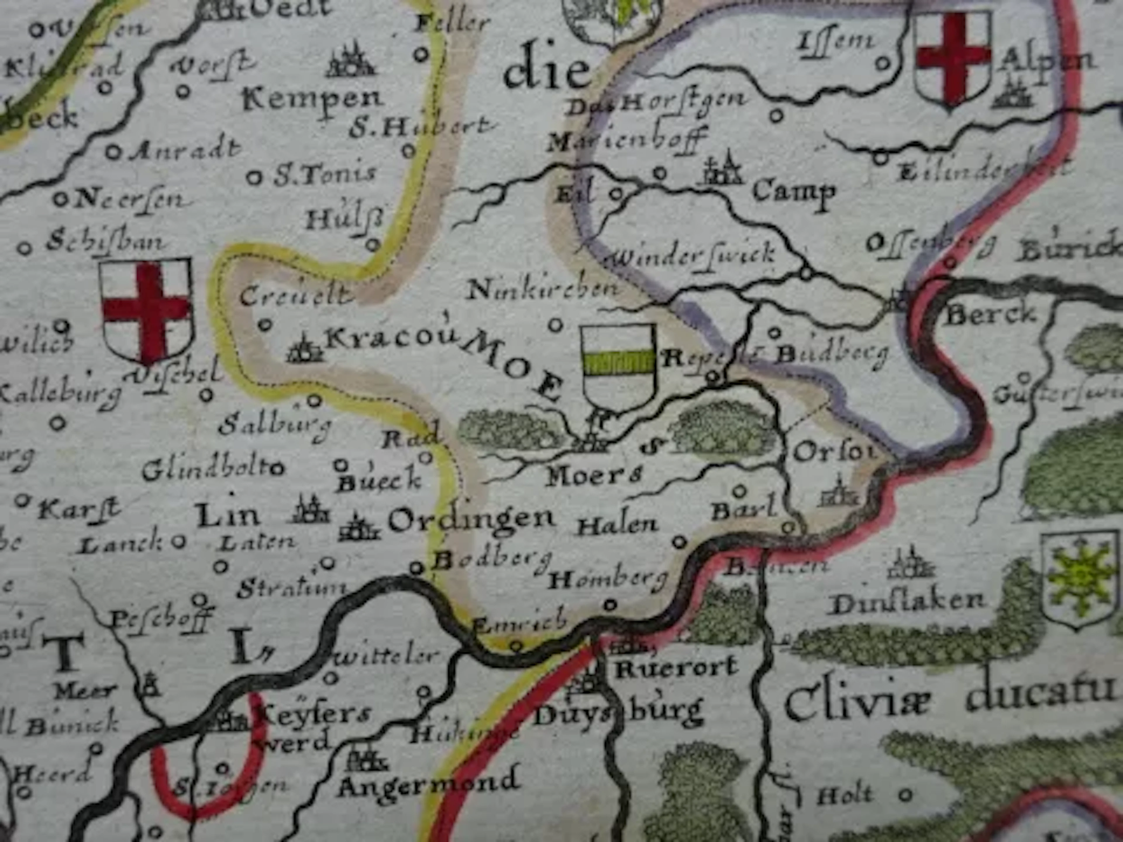 Merian - Coloniensis