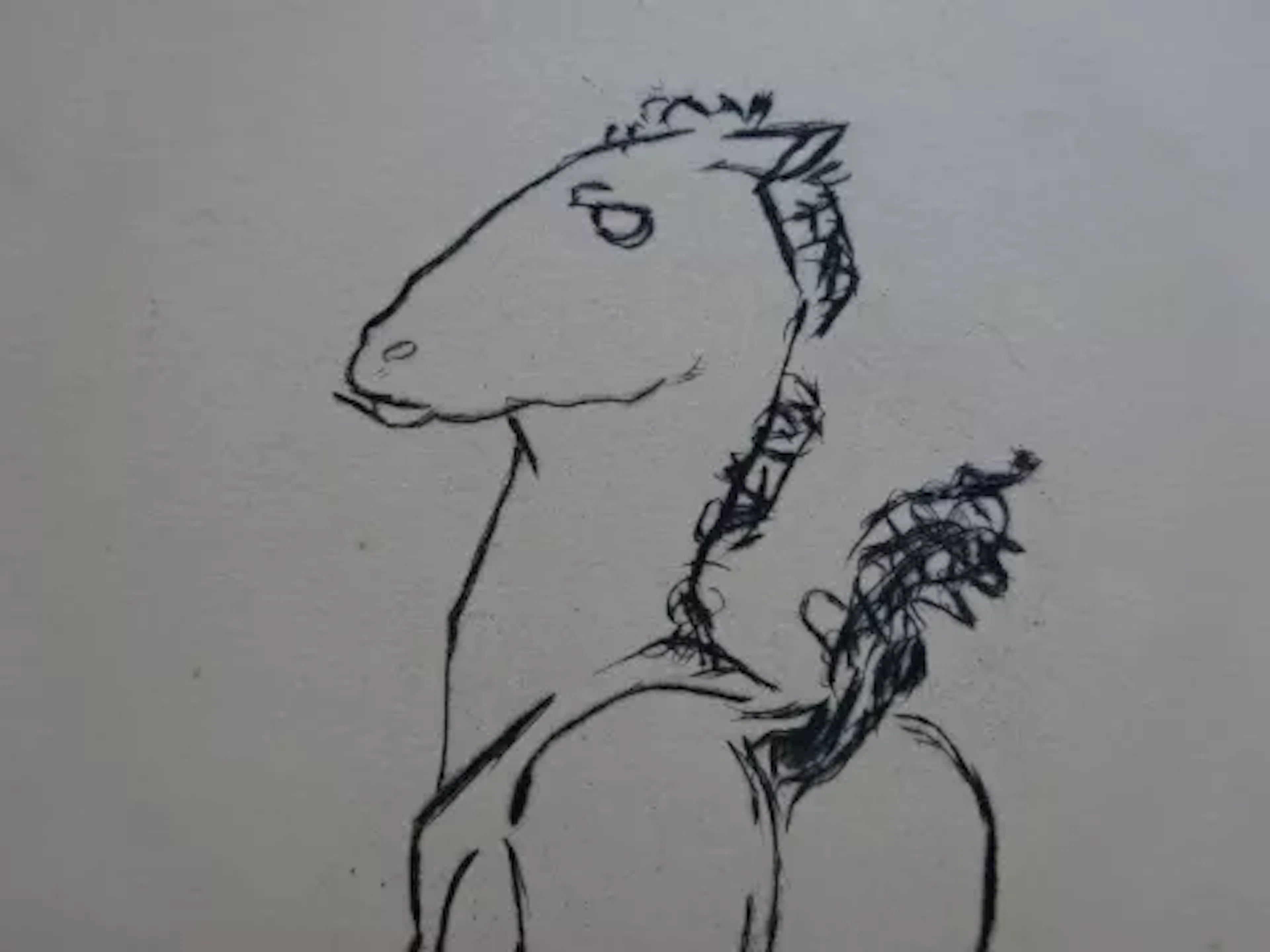 Sintenis - Junges Fohlen