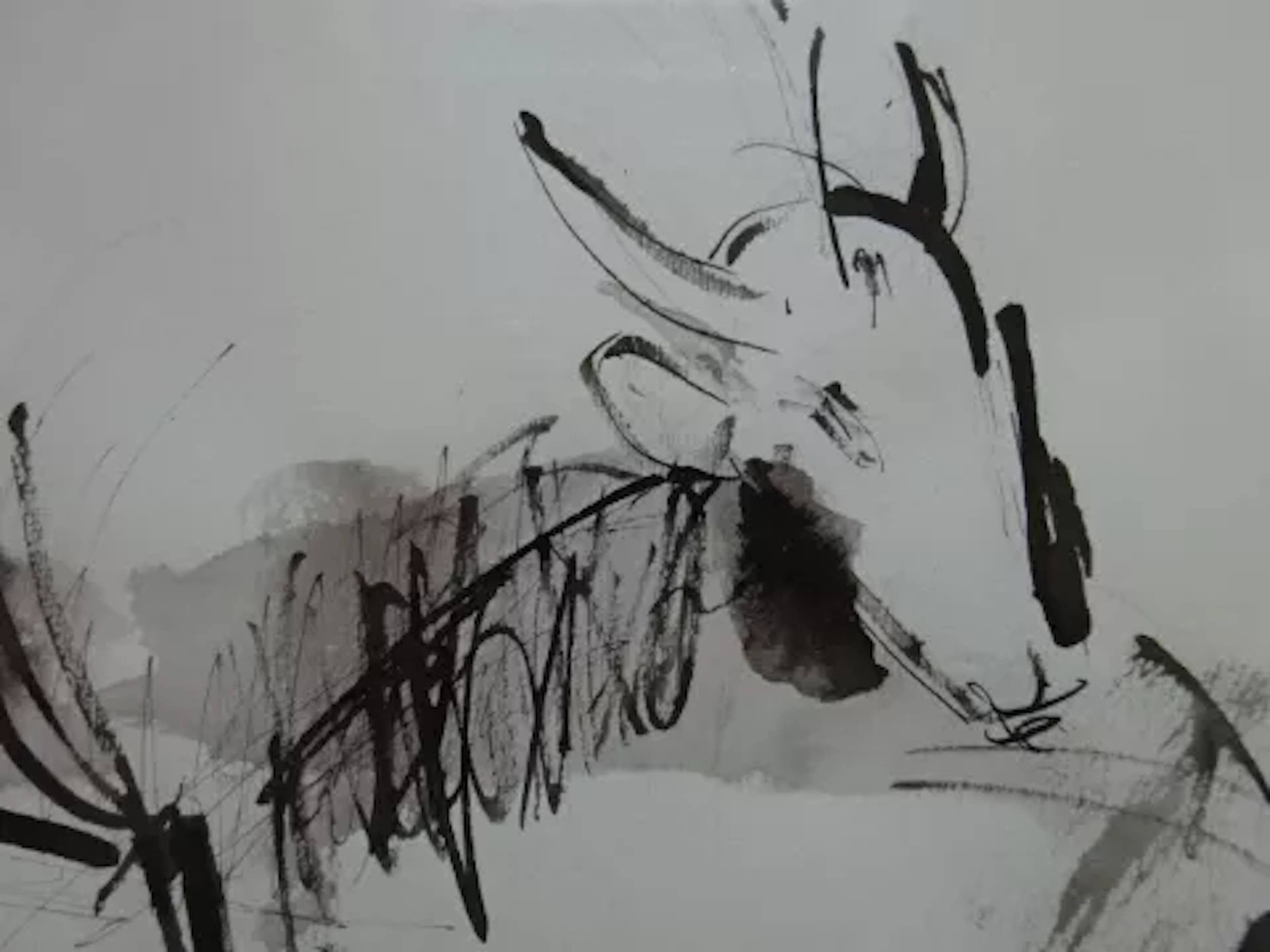 Kliemann - Stier Skizze