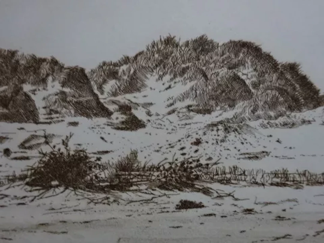 Anderson - Dünenlandschaft