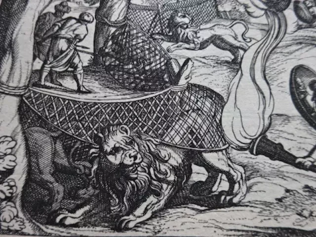 Sichem - Konvolut Jagd, 18 Kupfer