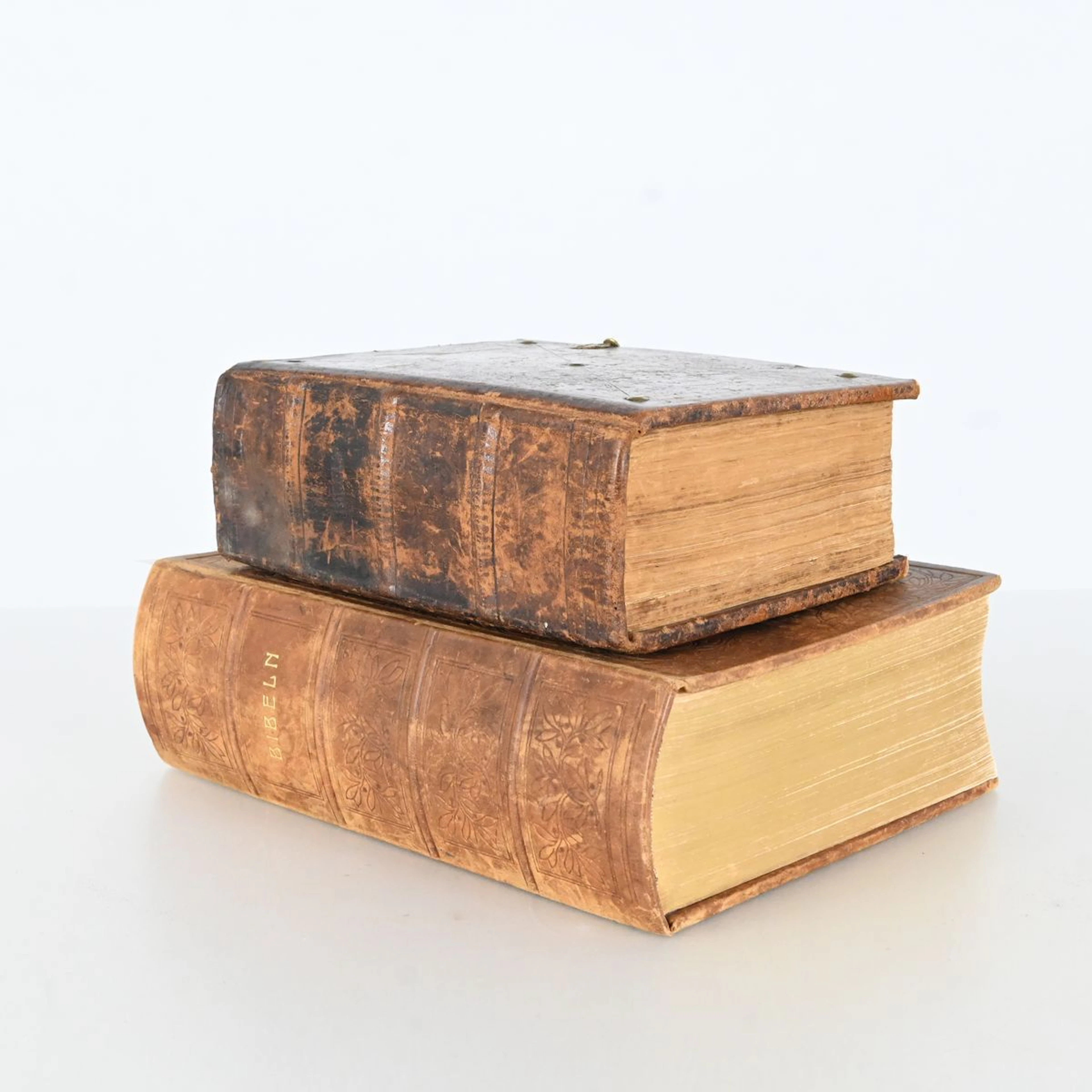 Antik bibel 1800-tal samt familjebibel