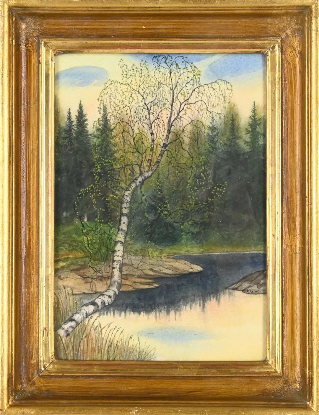 Per Julius, akvarell "Vårbjörk"