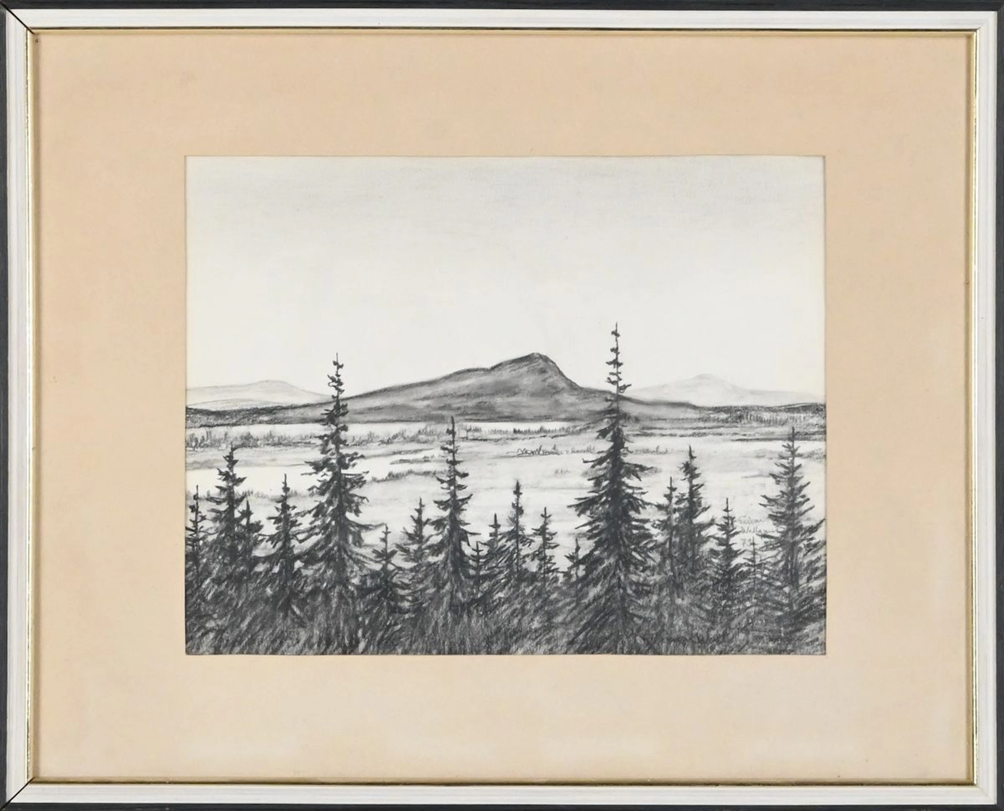Einar Wallqvist, Kolteckning, 1973