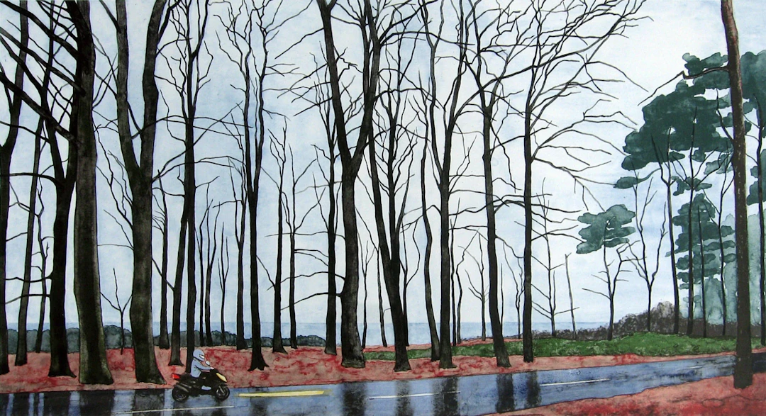 YLVA CEDER, Serpentine Drive, 2013