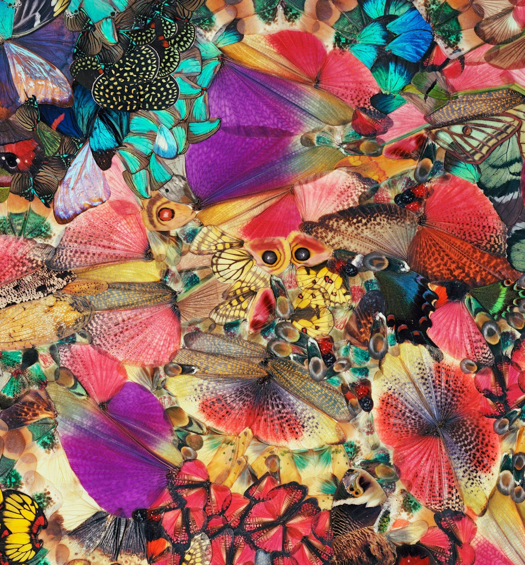 NATHALIA EDENMONT, Charisma, 2014