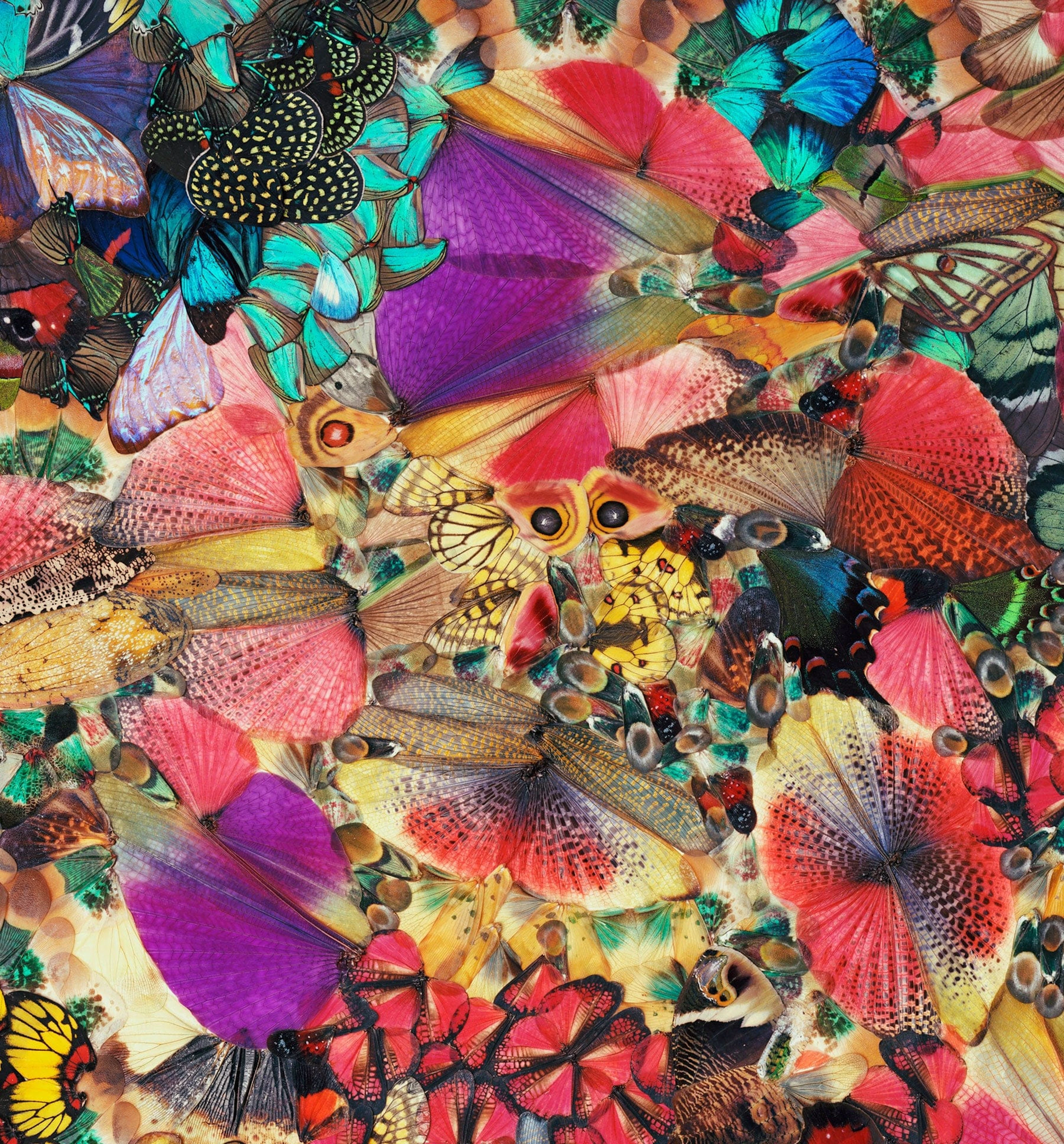 NATHALIA EDENMONT, Charisma, 2014