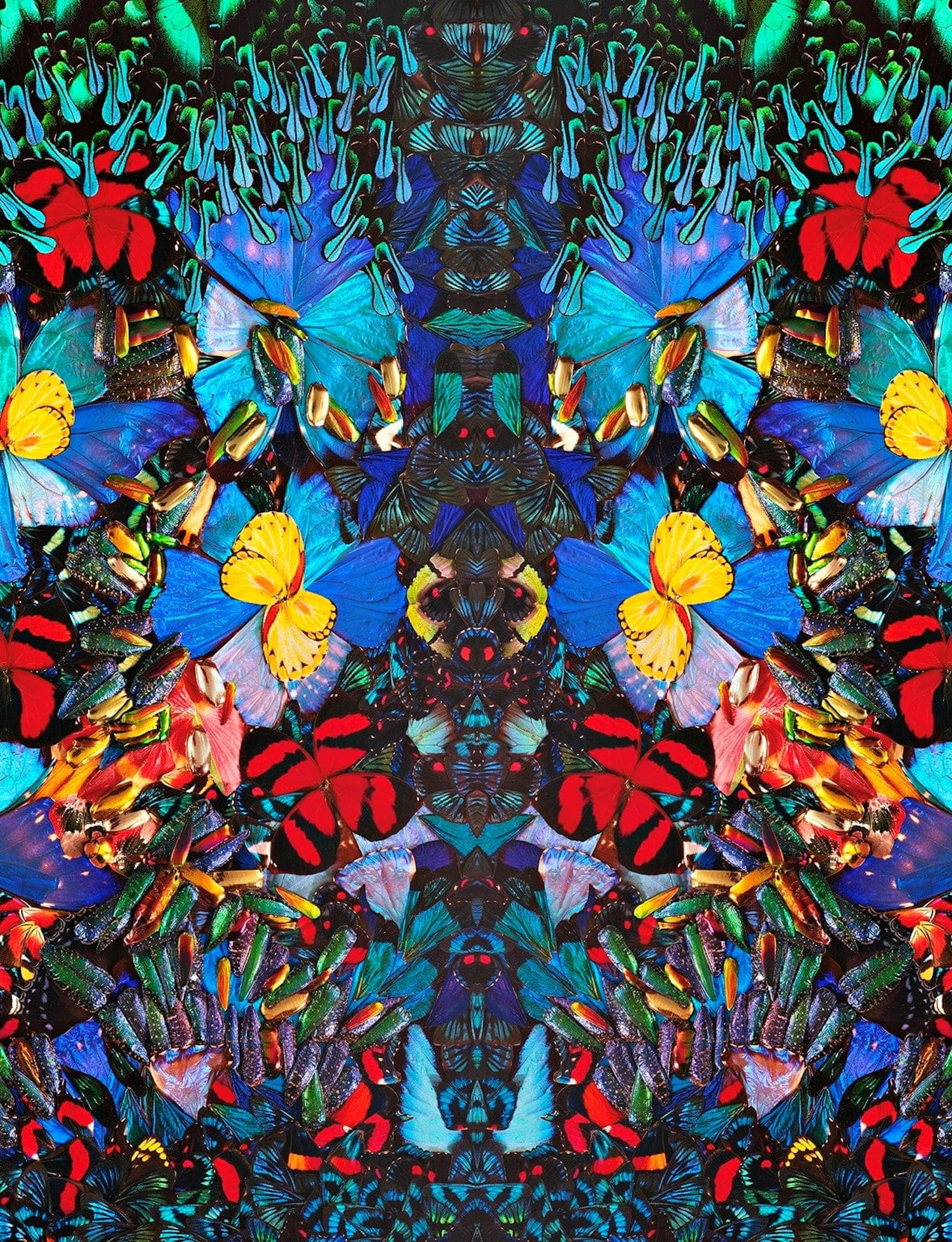 NATHALIA EDENMONT, Totem, 2020
