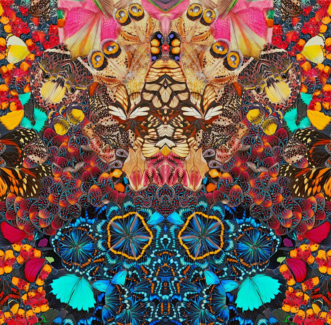 NATHALIA EDENMONT, Lost in Love, 2022