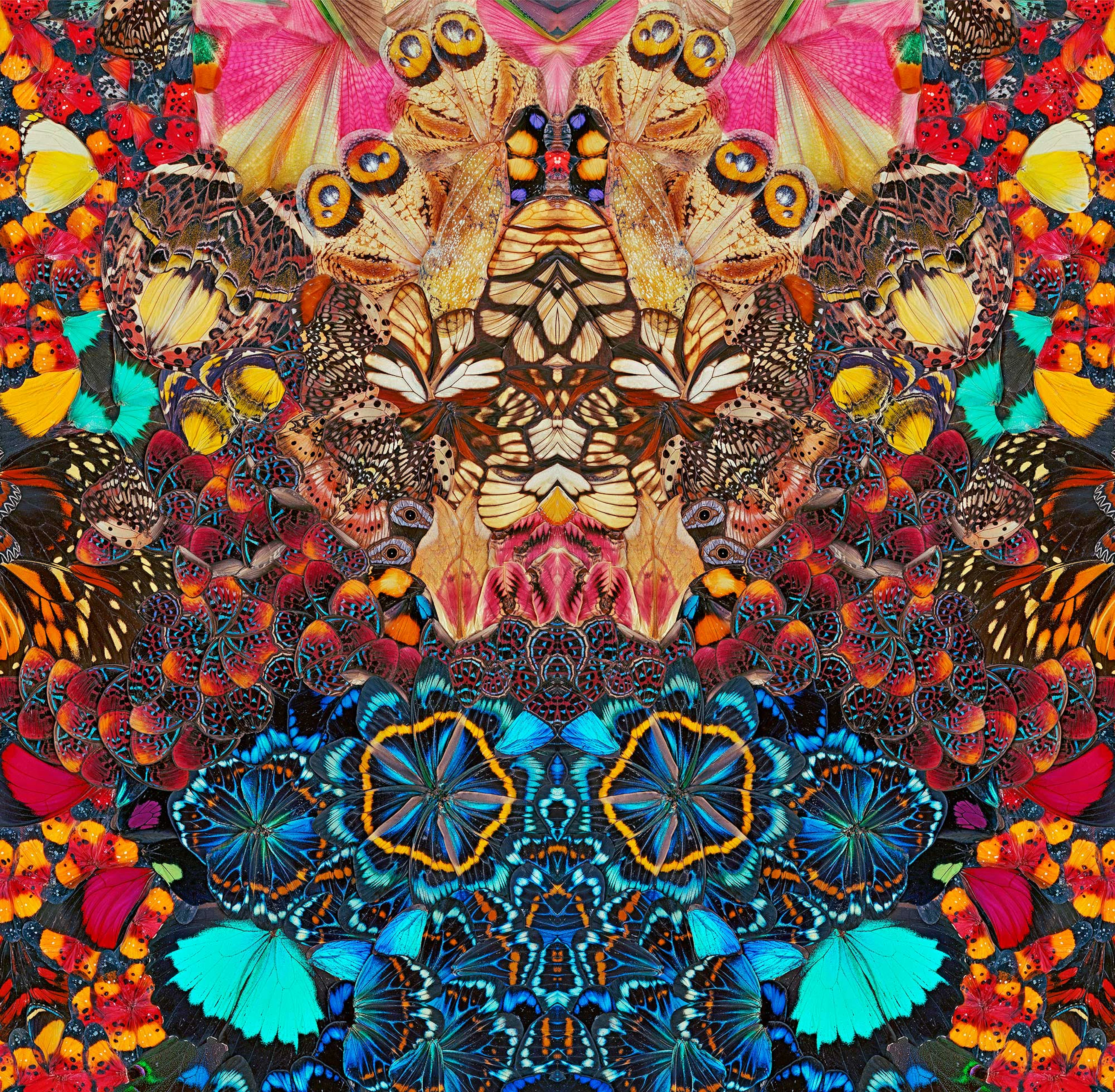 NATHALIA EDENMONT, Lost in Love, 2022