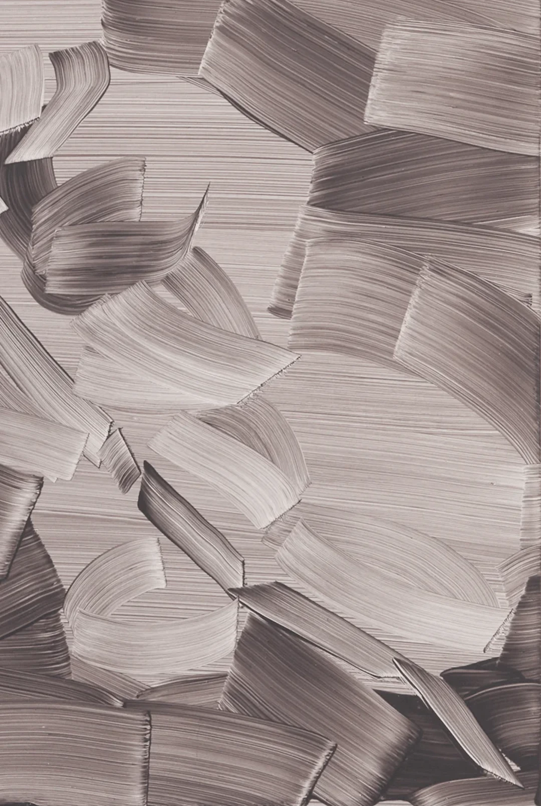 MARJOLEIN ROTHMAN, Orchid, 2019