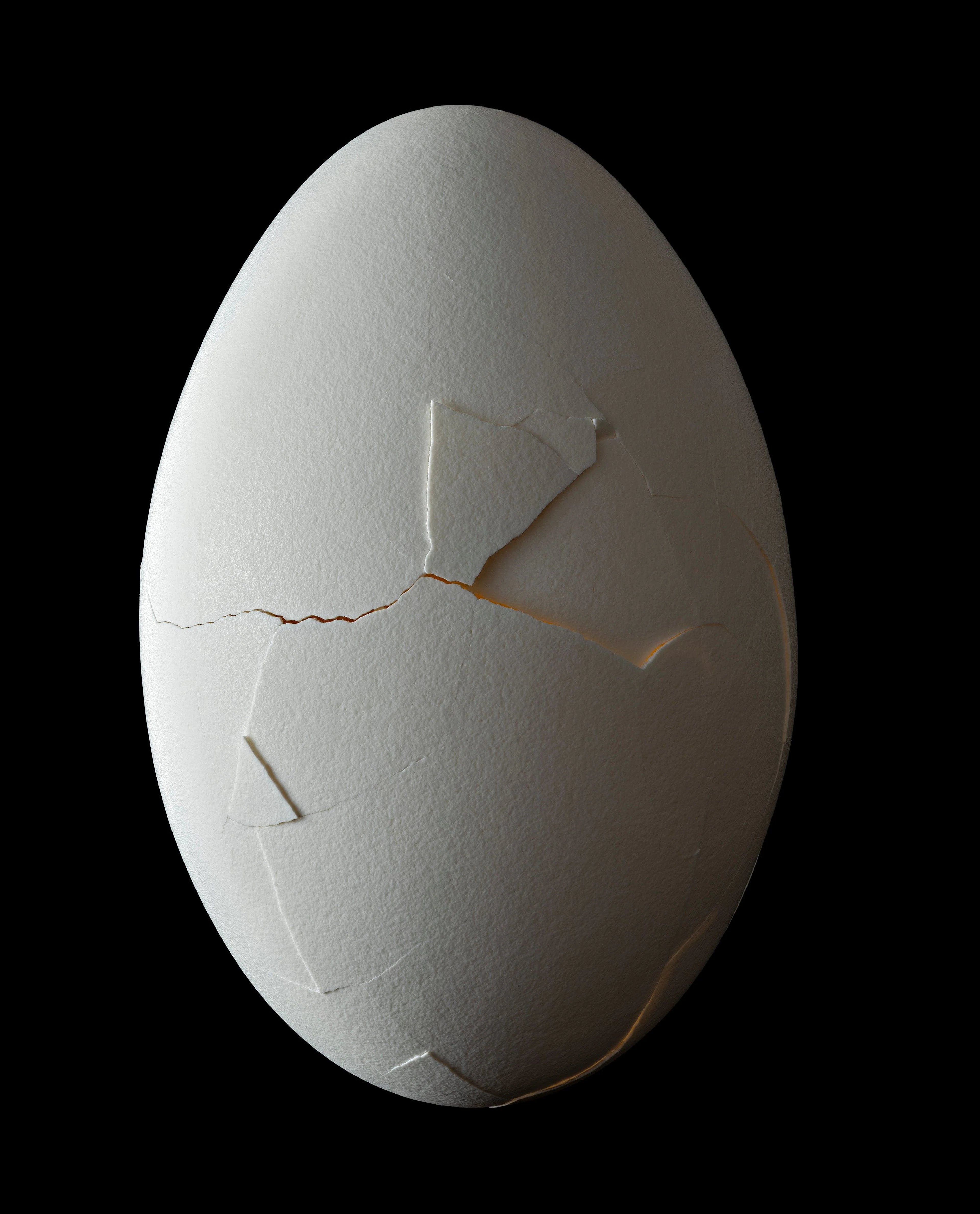 NATHALIA EDENMONT, Out of the Sacred Round, 2025