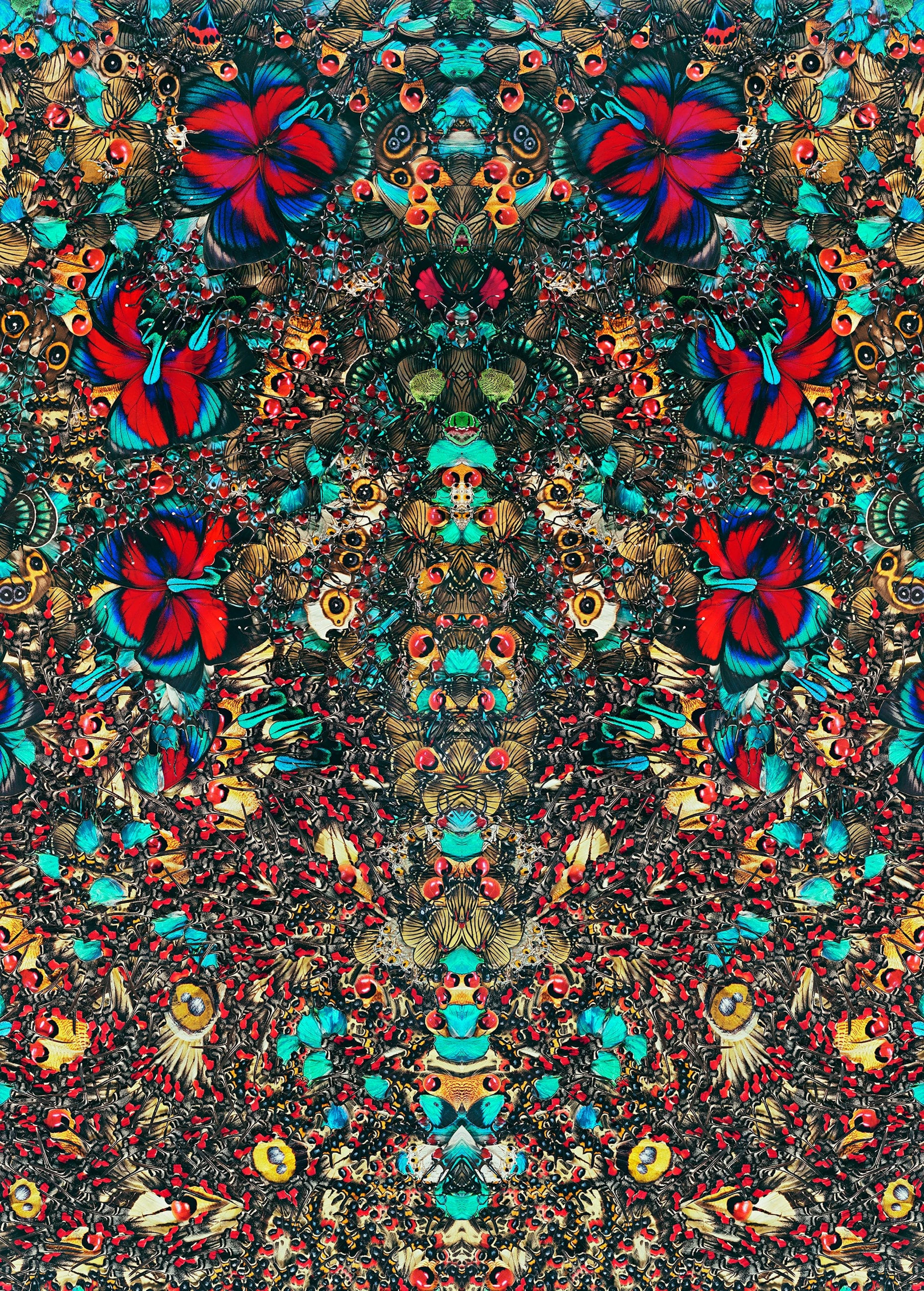 NATHALIA EDENMONT, Sacral Tree, 2022