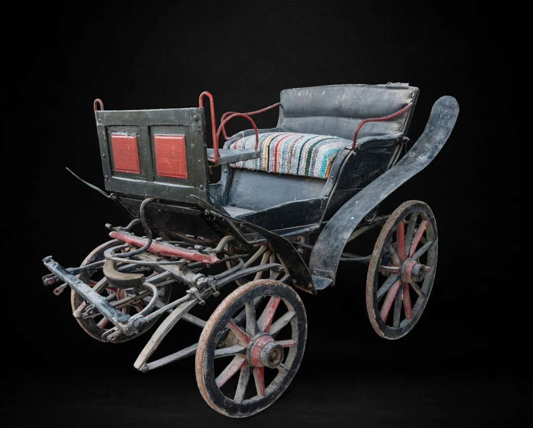 Light country carriage for trotting and rural transport, 19th century
