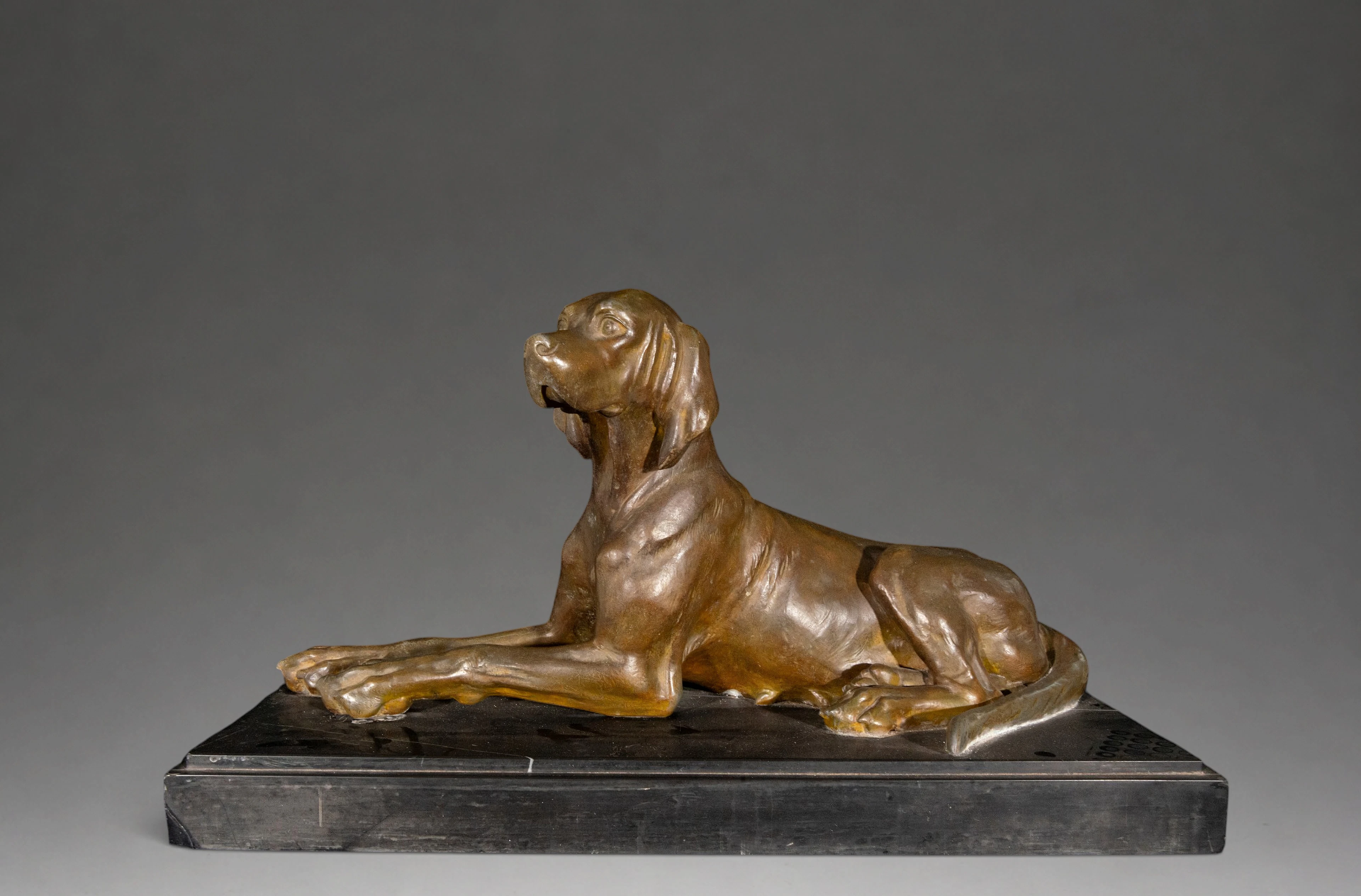 Bronze pointer hunting dog – French school – 19th century