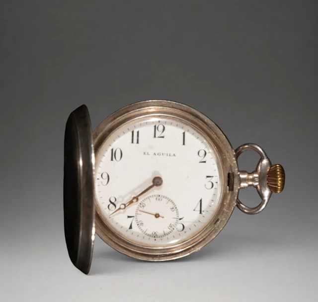 "The Eagle" pocket watch with hinged cover
