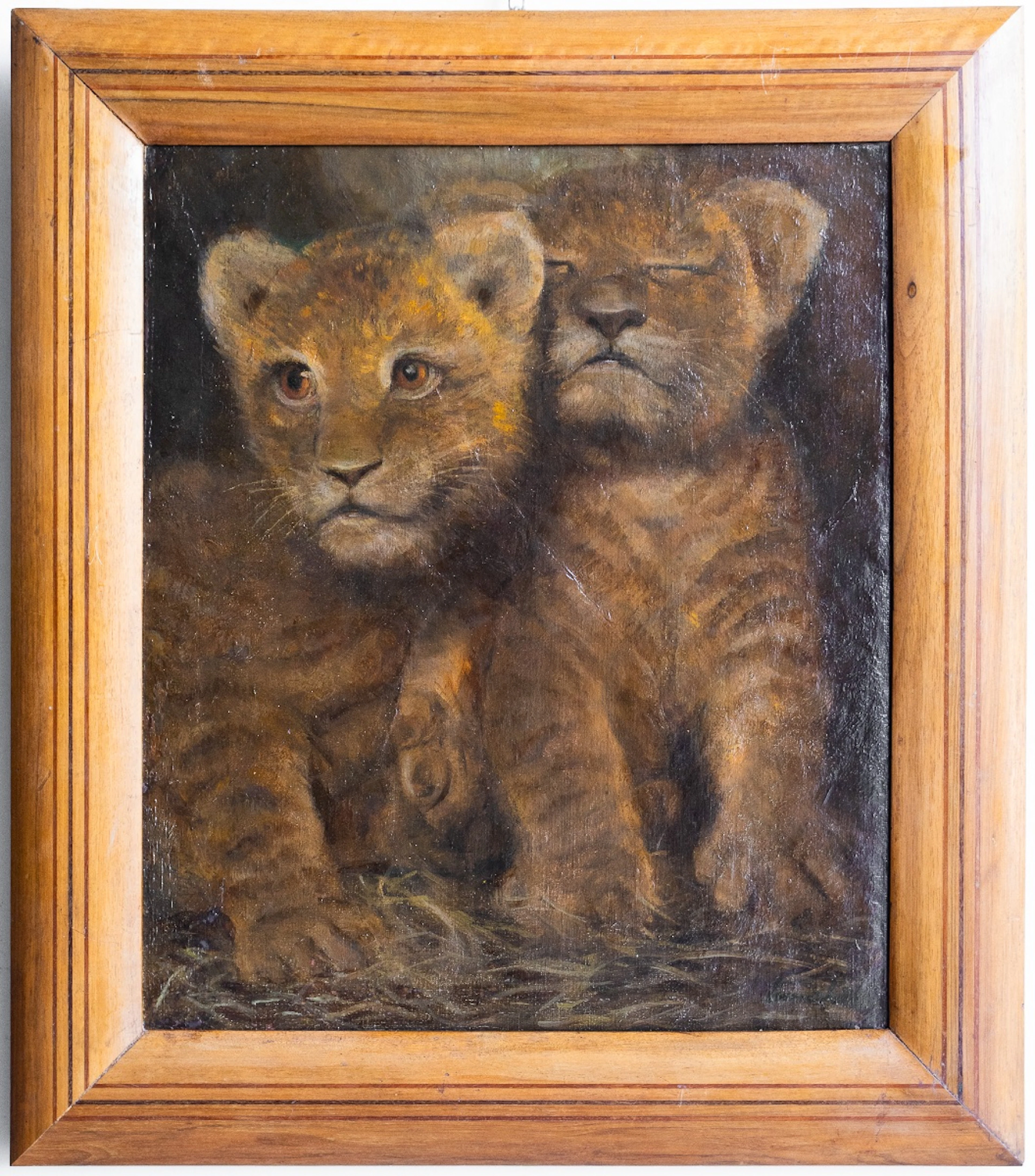 19th Century French School - Pair of Lion Cubs
