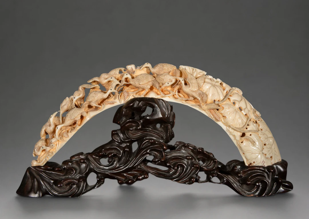 Hippopotamus tusk carved with water birds and lotus flowers – China