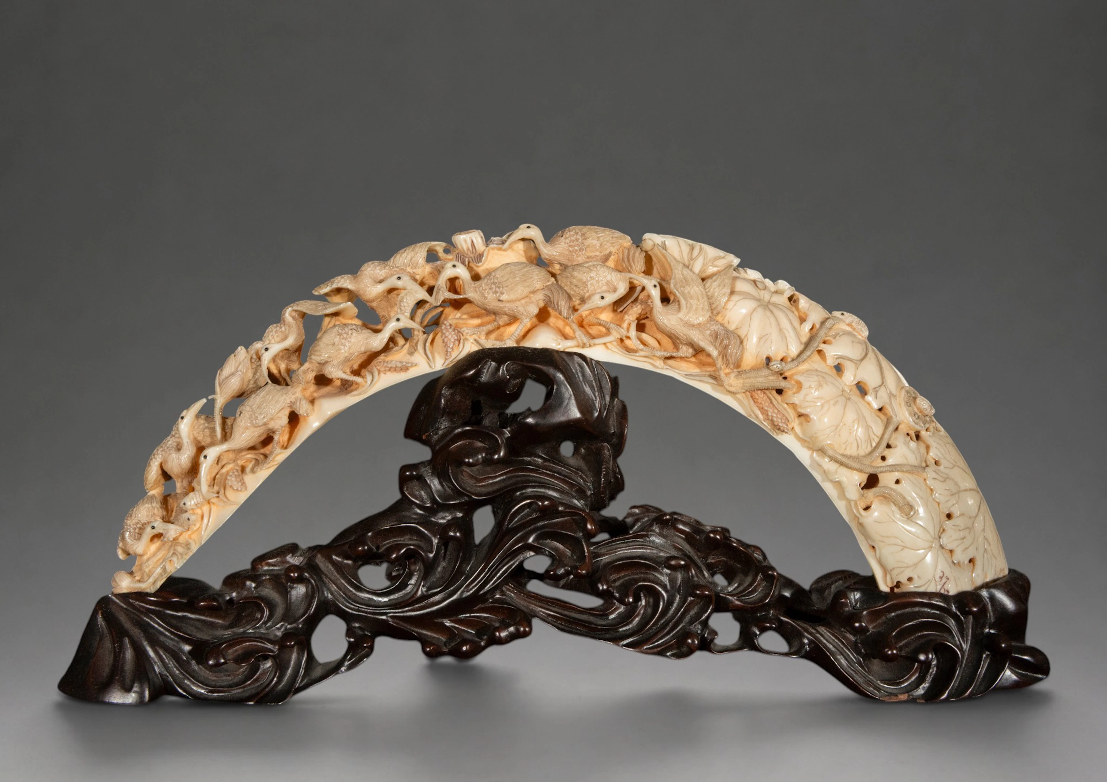 Hippopotamus tusk carved with water birds and lotus flowers – China