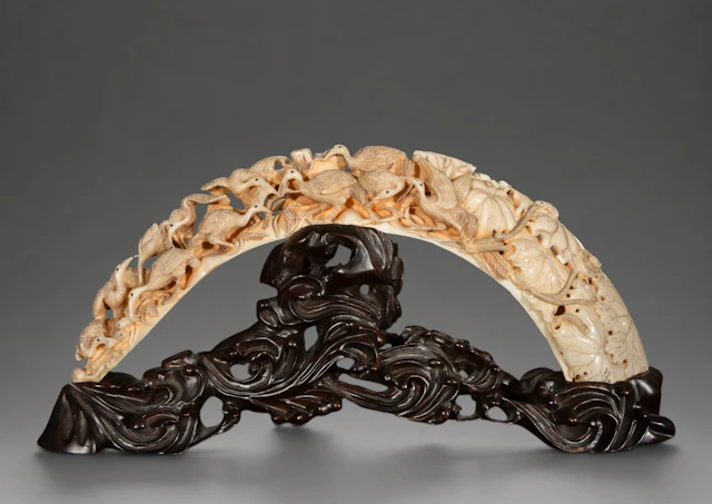 Hippopotamus tusk carved with water birds and lotus flowers – China