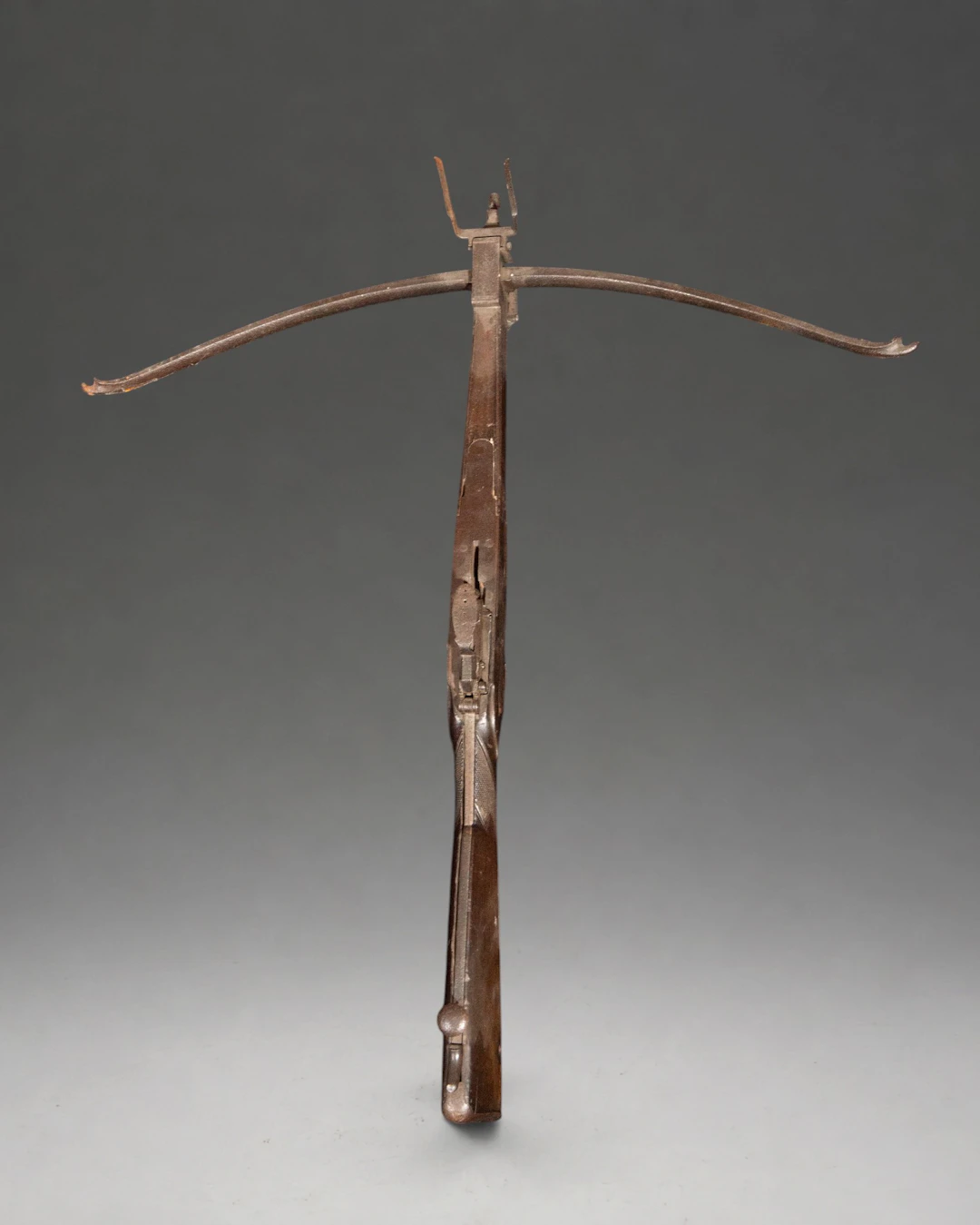 Antique Combat or Hunting Crossbow – European School – 18th Century