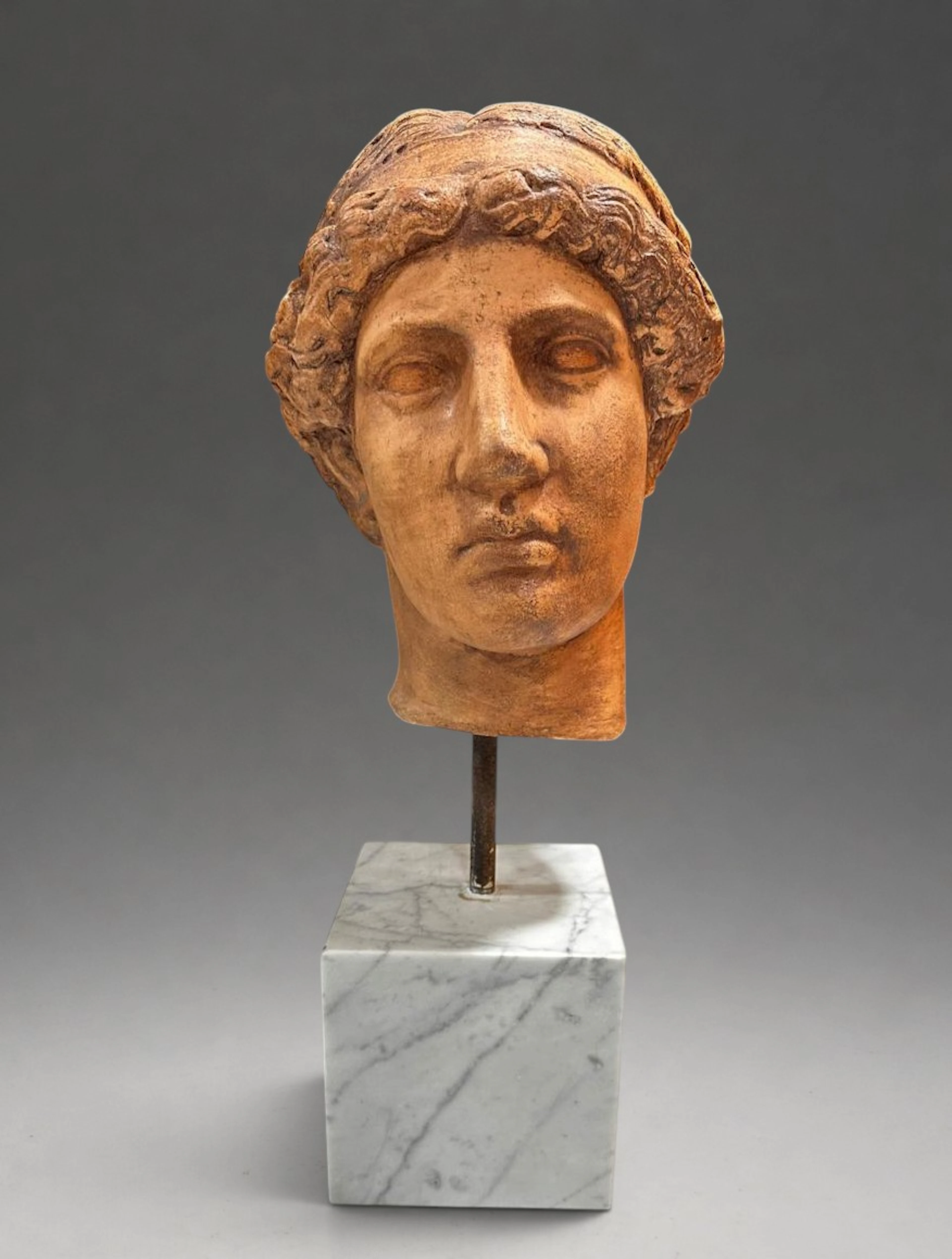 Head of Athena Lemnian, after Phidias – Italian School – 21st century