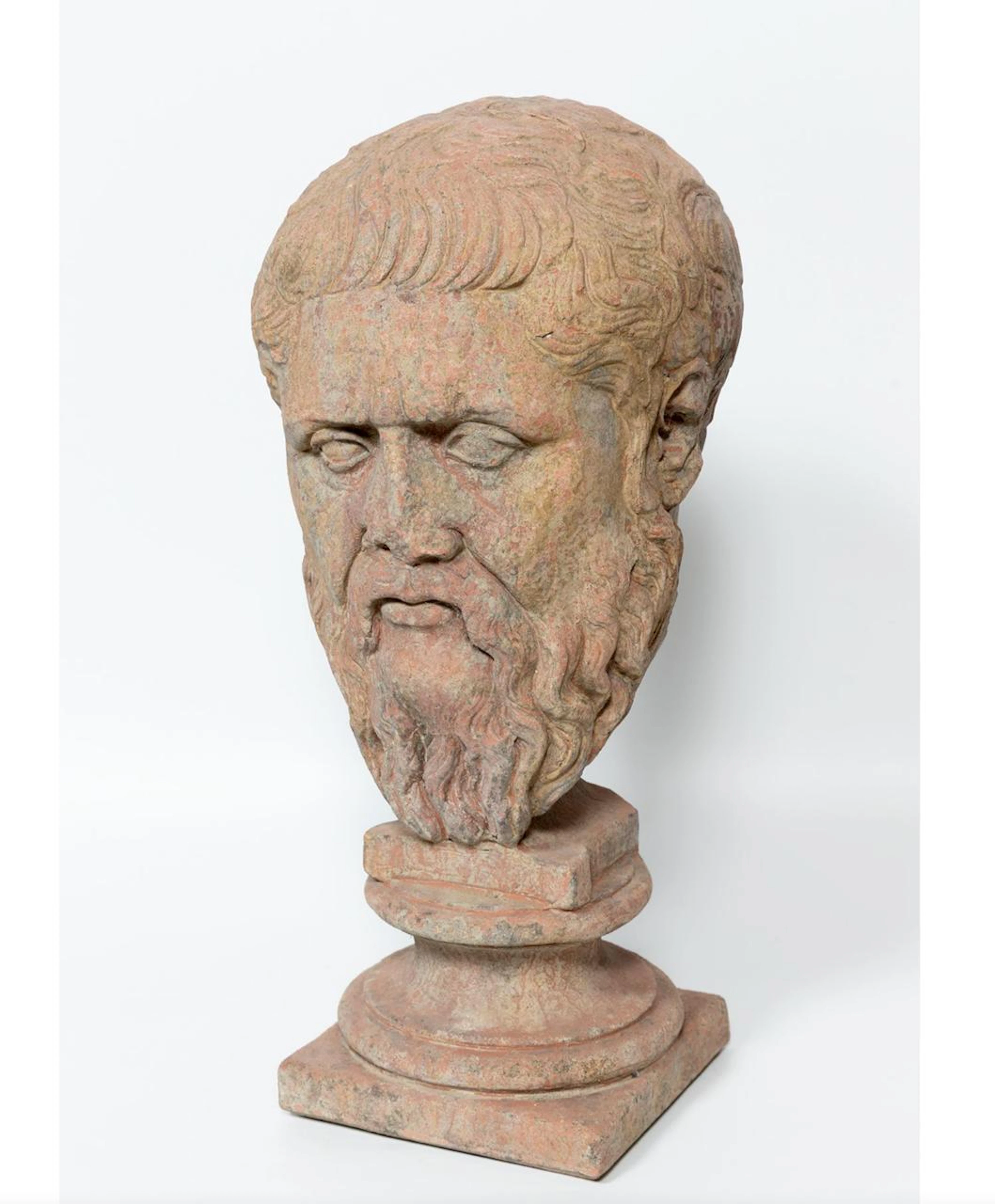 Bust of Plato – Italian School – 20th century
