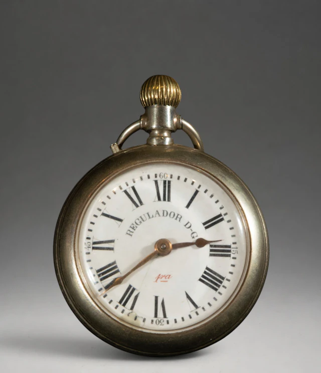 Pocket watch with Roman numeral dial and metal case