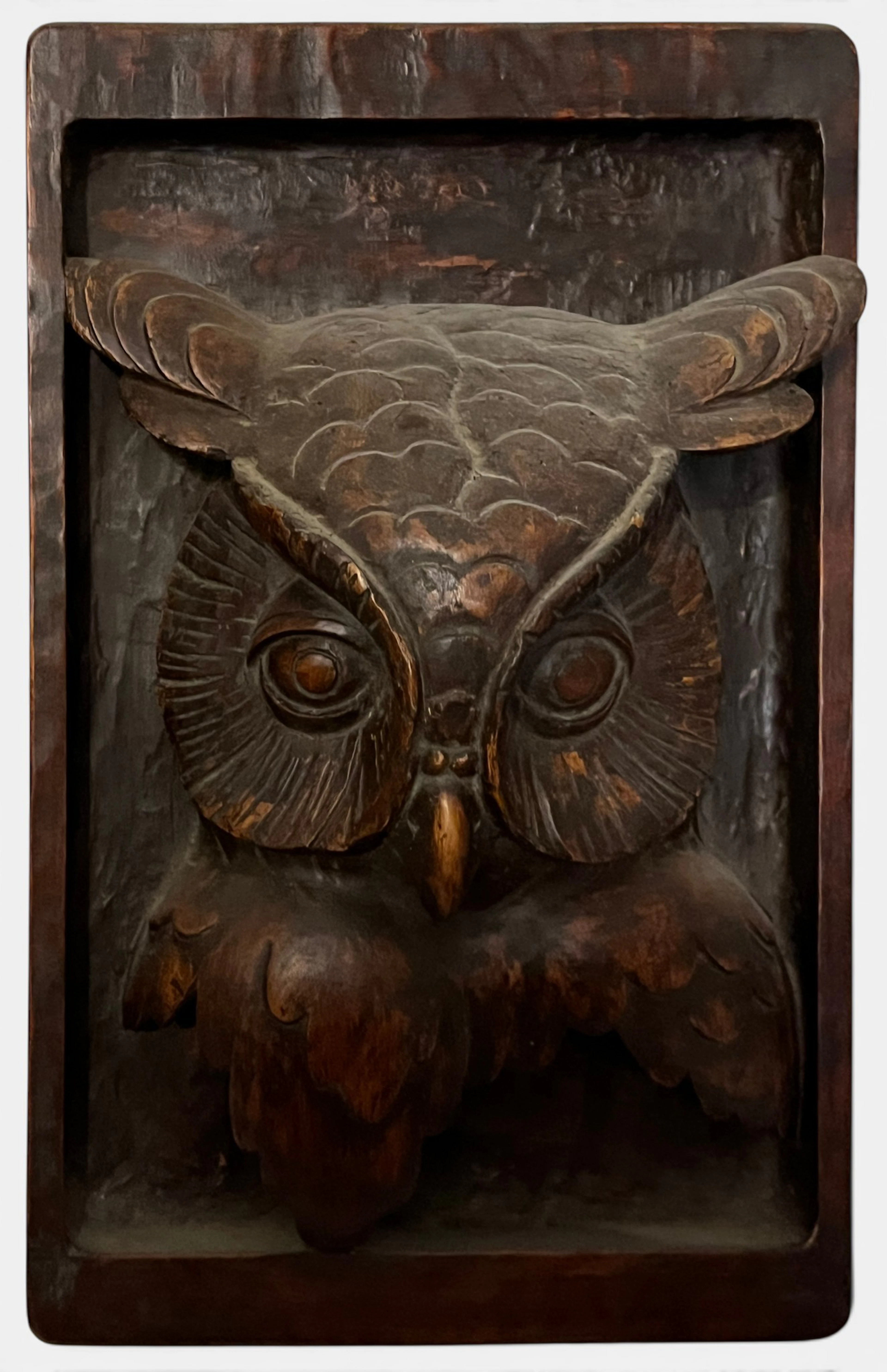 Black Forest Owl relief in wood, 20th century