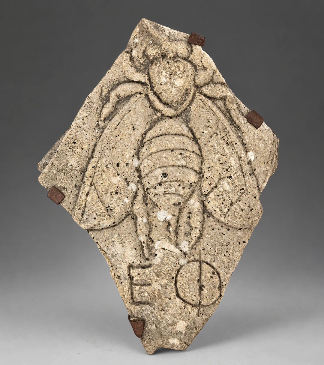 Spectacular Greco - Cretan Greek Bee in the Ancient Greek Ancient