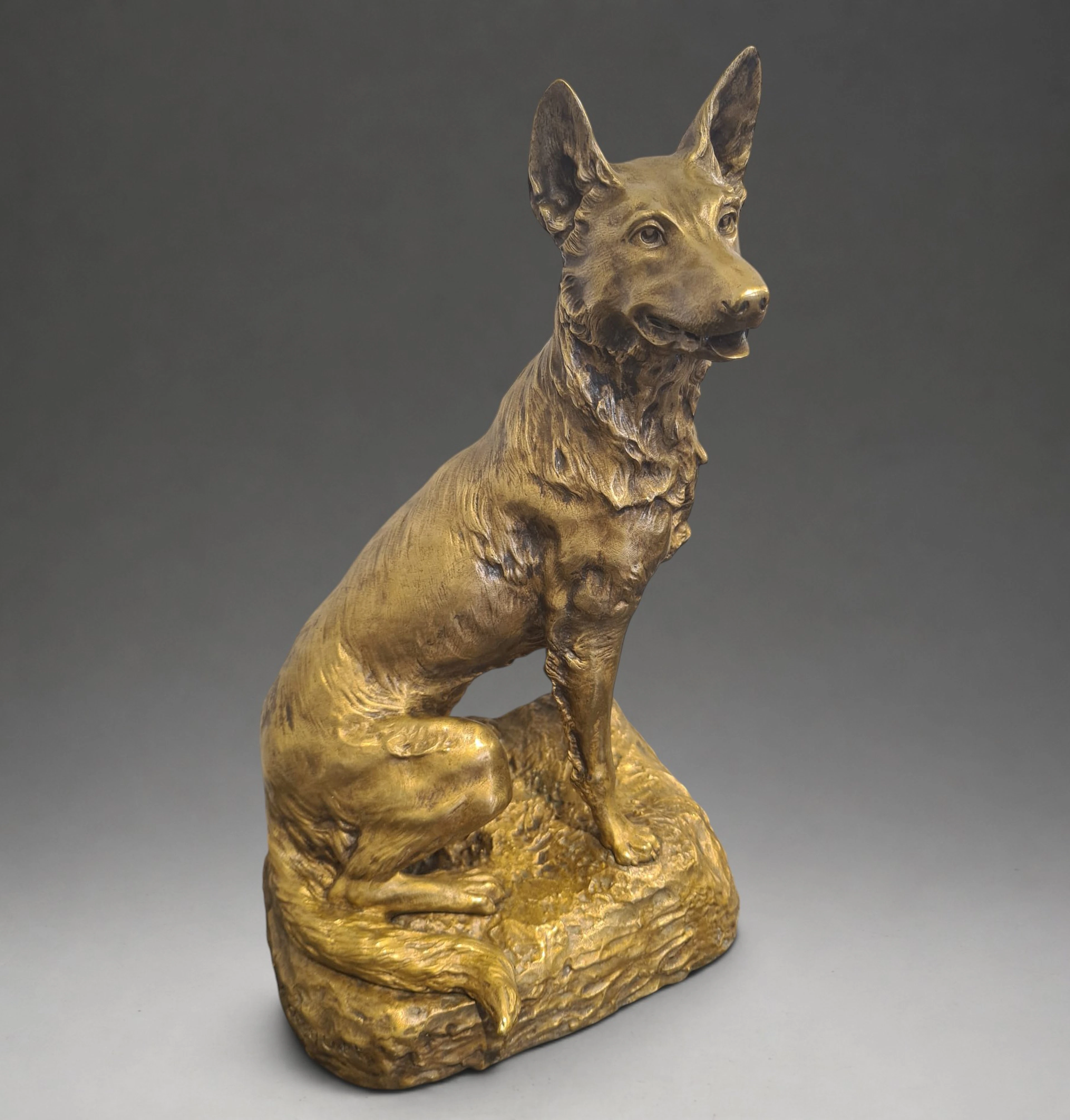 Large German Shepherd in French bronze - signed R. Marquet (1875-1939). 12kg