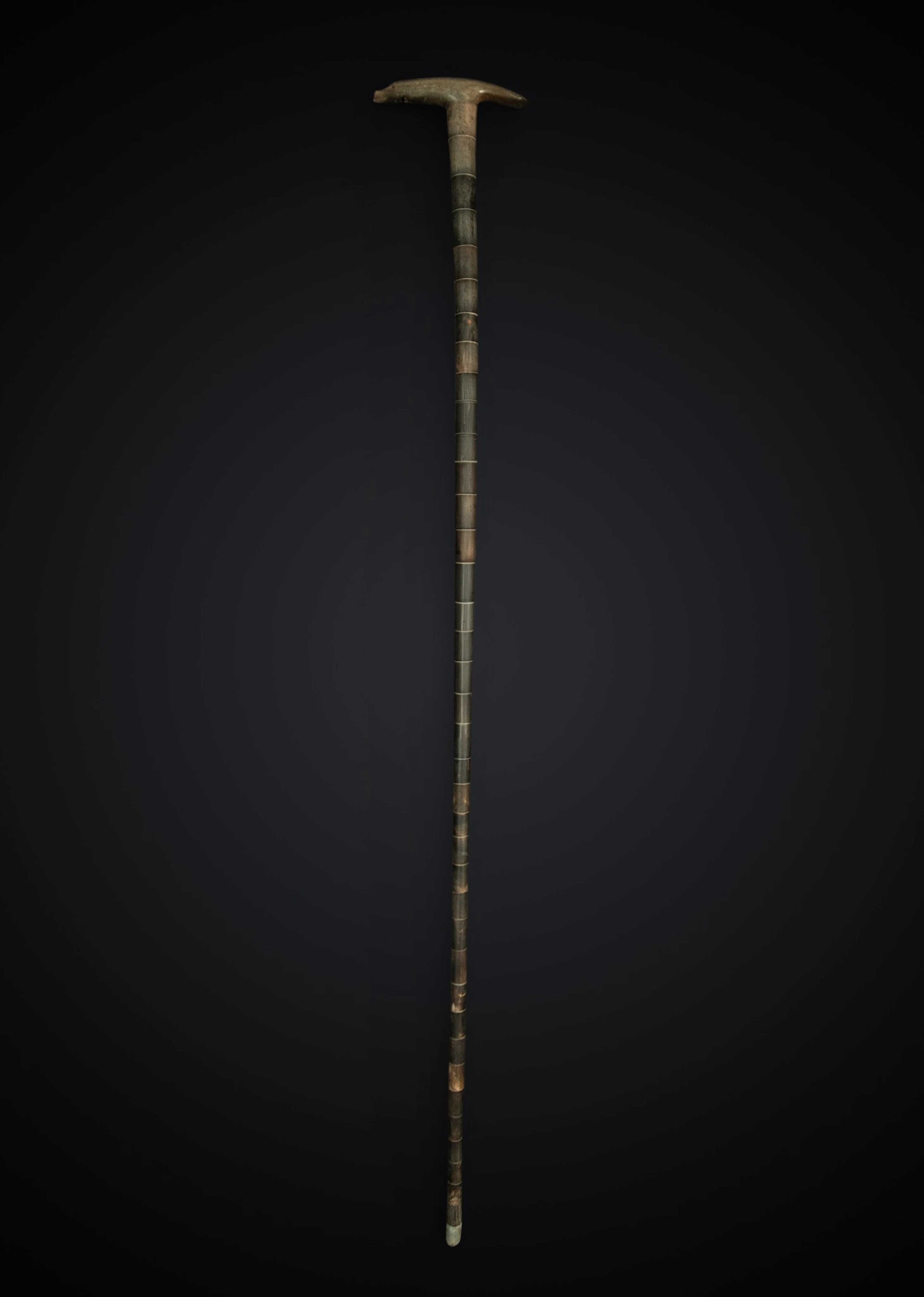 Rare Shepherd's Staff on horn with top whistle