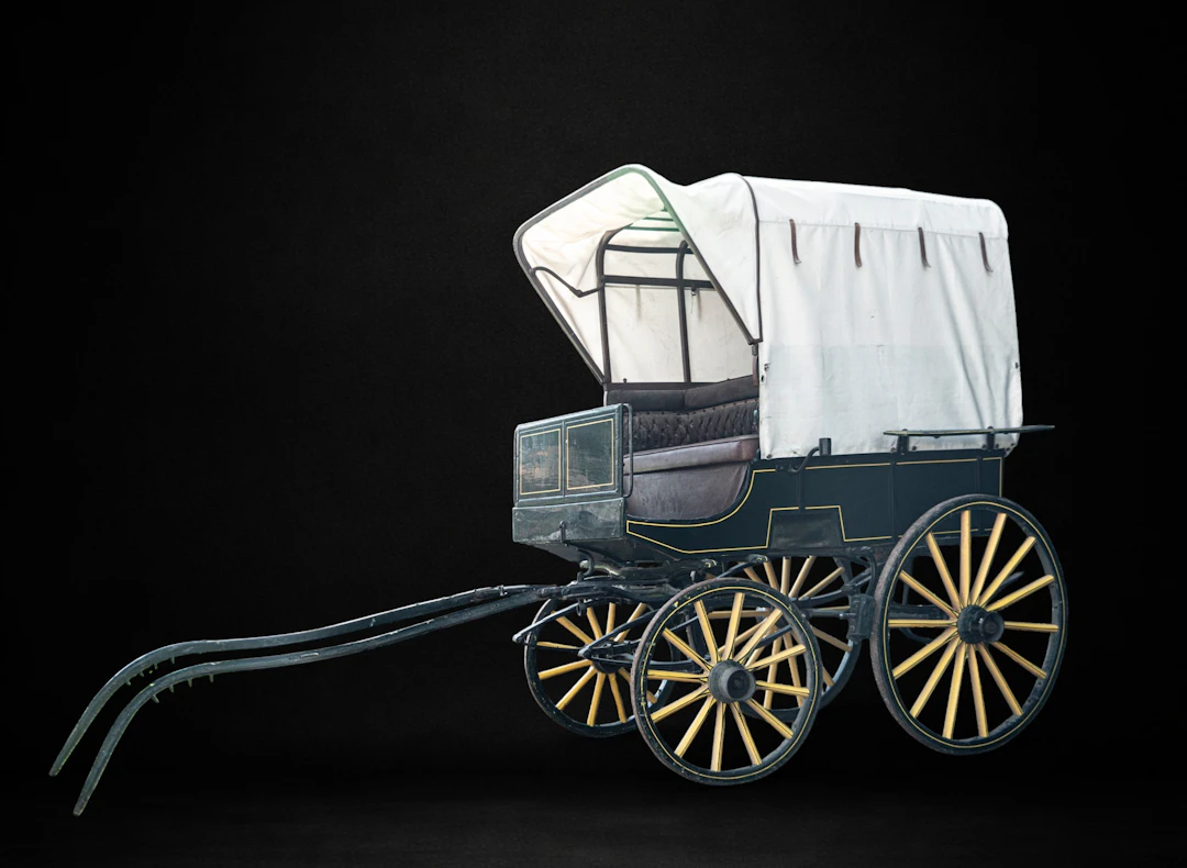 Horse-drawn omnibus-type carriage for five passengers plus coachman