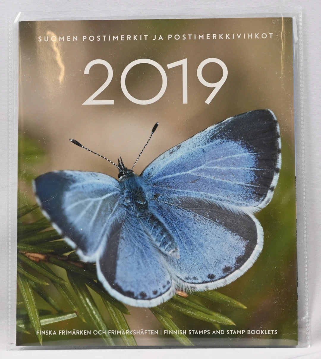 2019 year set