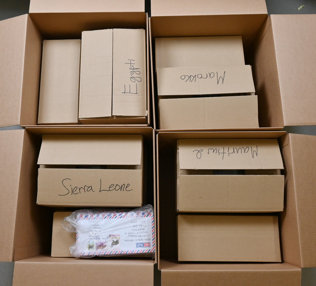 Africa, large selection of IYS mail from different African countries