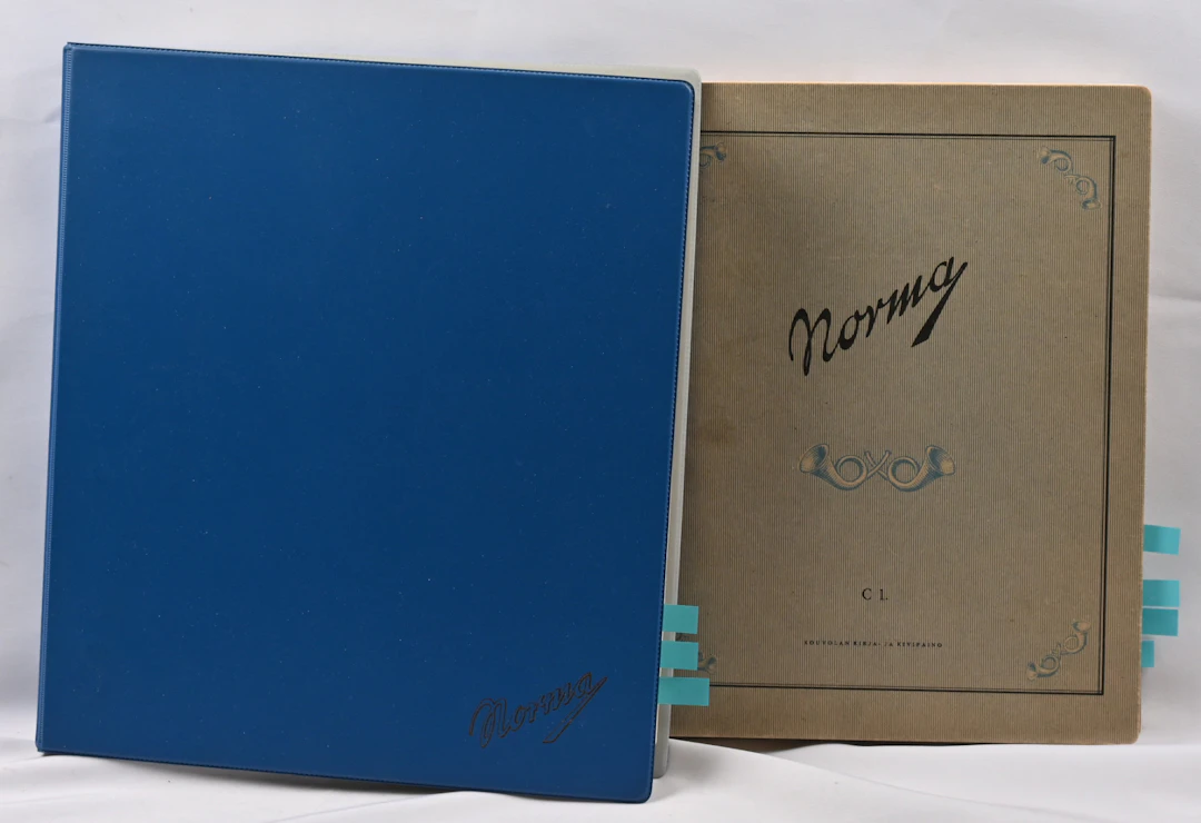 1889 - 1999 modest used basic collection in two albums. New part including