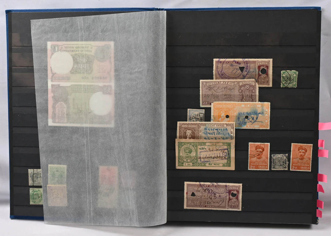 Mainly old material interesting and versatile selection in a stockbook.
