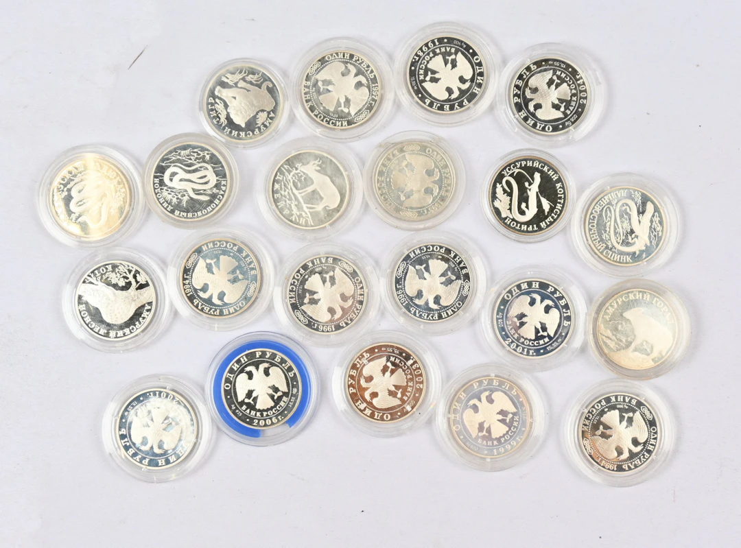 1993 - 2007 21 pieces of nature-themed 1 Rouble silver commemorative