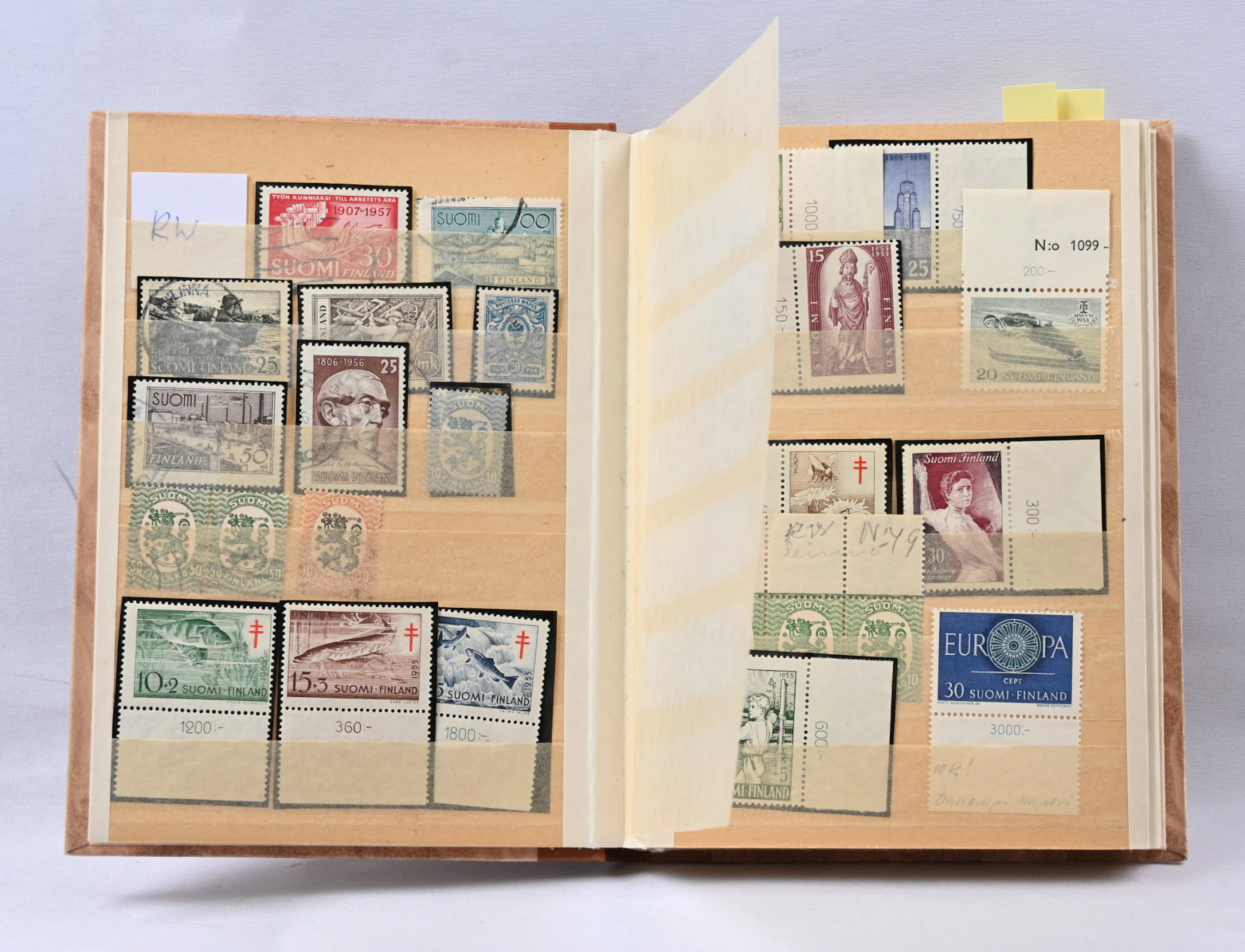 Fine selection of varieties etc. in an old small stockbook including