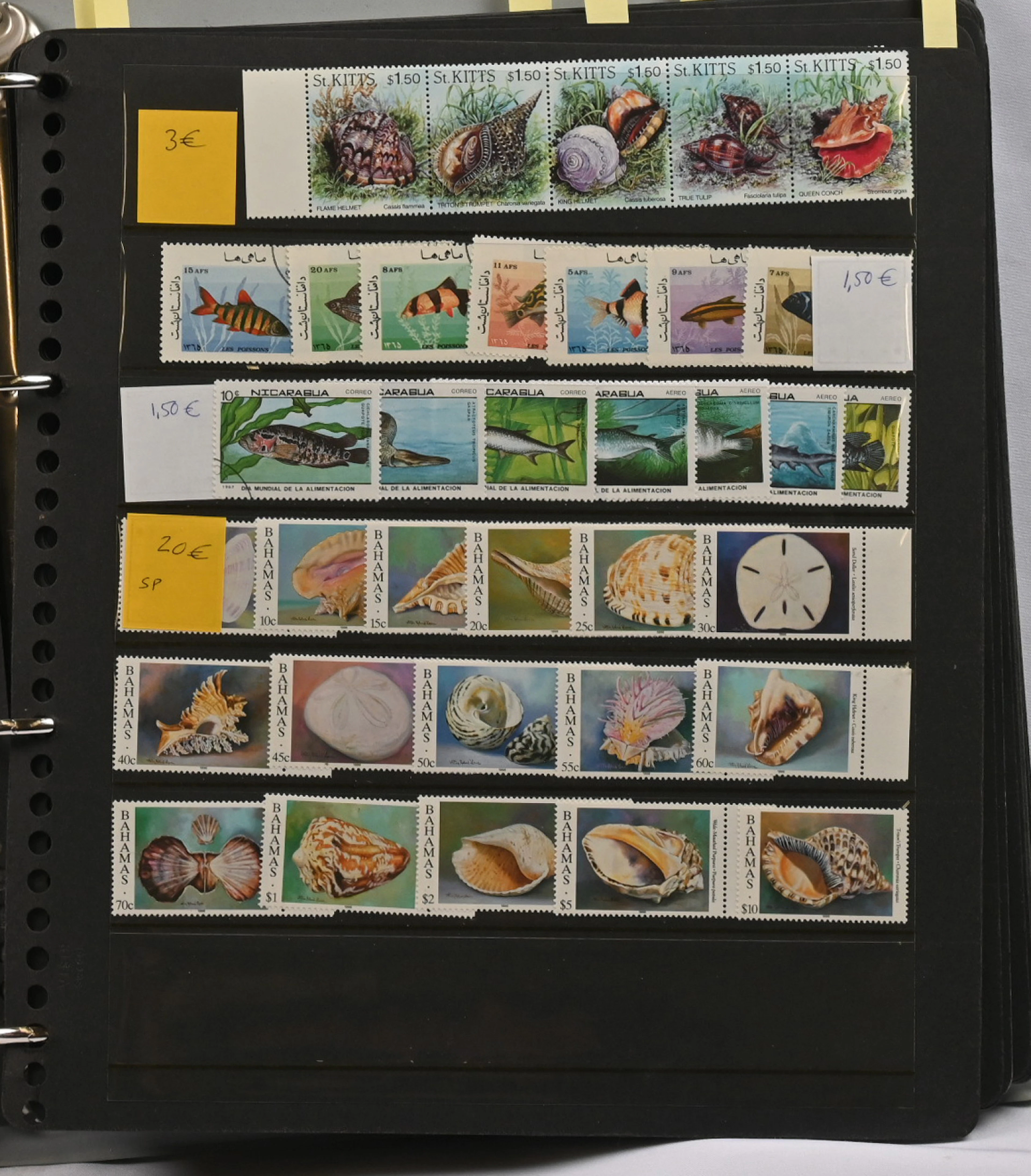 Sealife, fishes, insects and butterflies, old dealers sales album