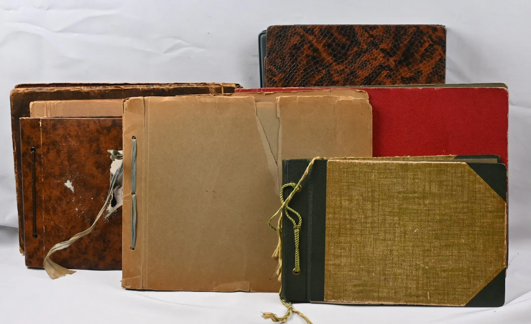 Old photographs nine albums from the Simelius family.