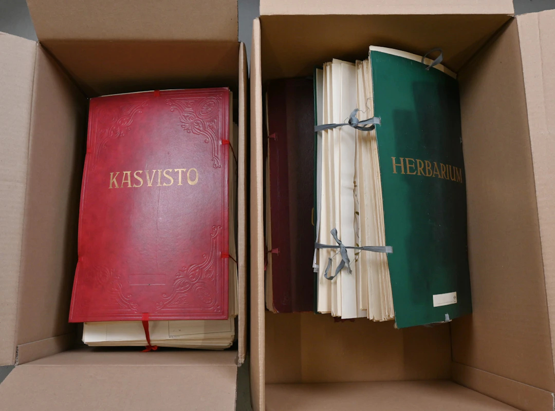 Herbarium from the 1960s over 600 plants! Fine three binders approximately