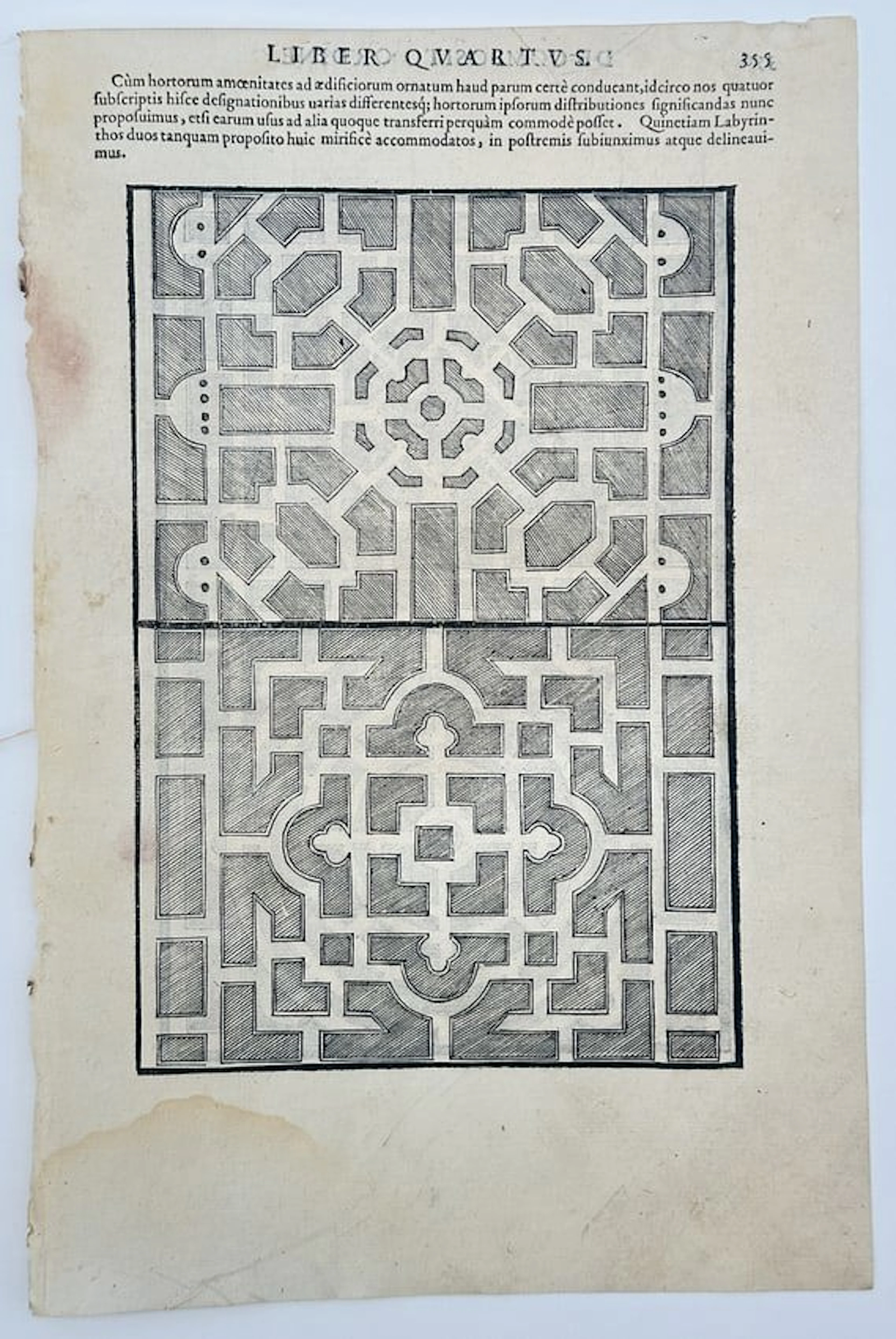 Sebastiano Serlio (1475–1554) – Geometric Designs for Floors or Ceilings