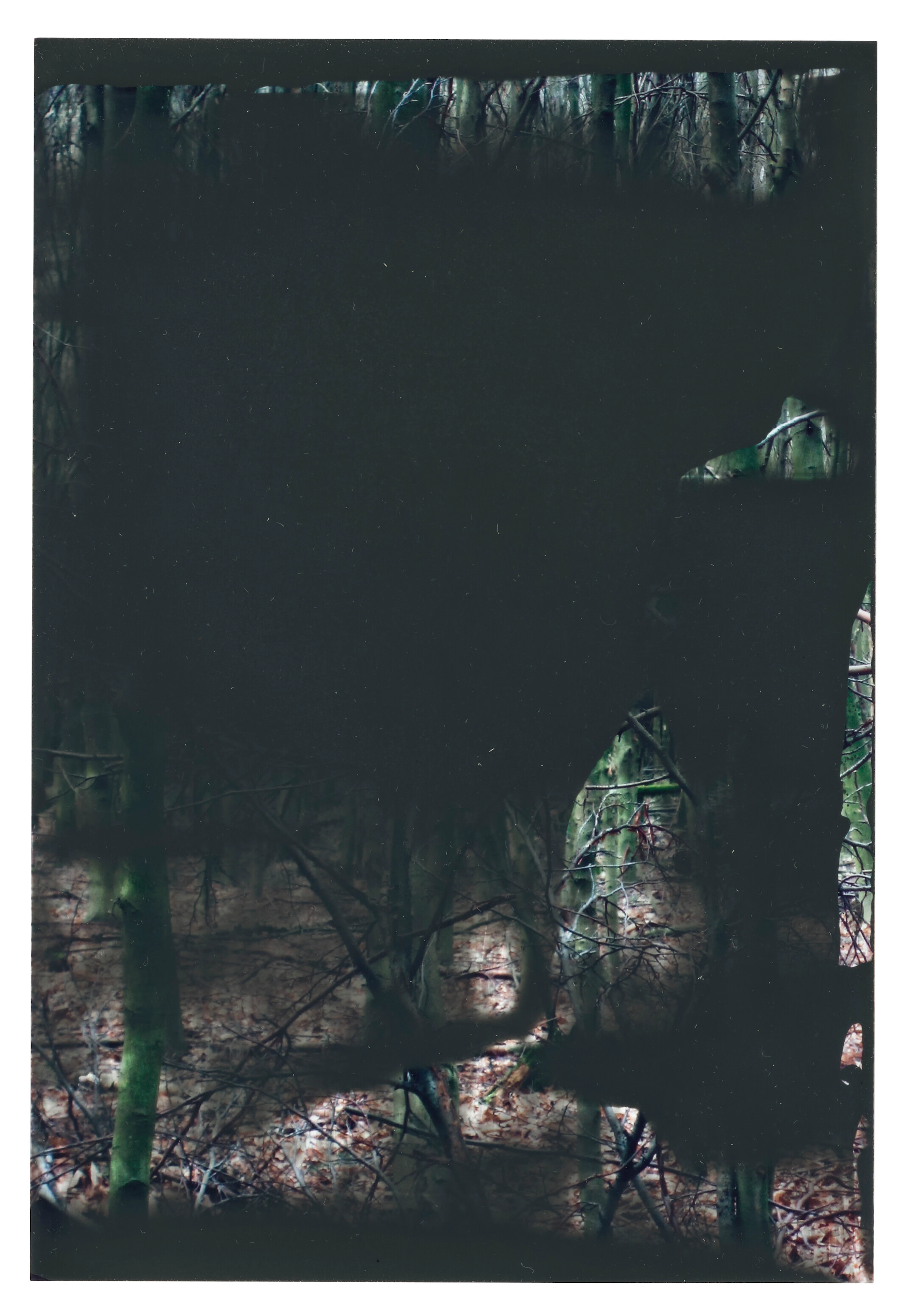 GERHARD RICHTER (B. 1932)