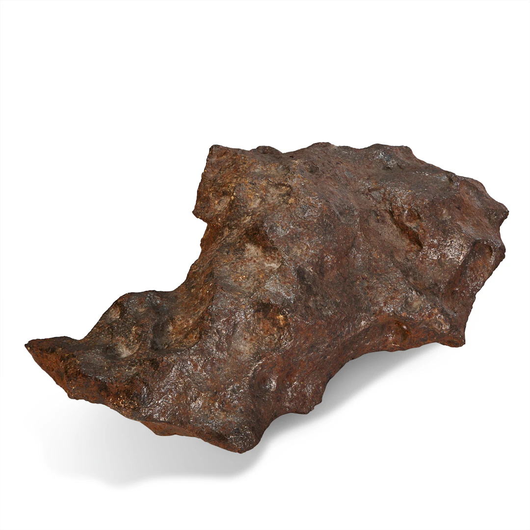 A Large Gibeon Meteorite