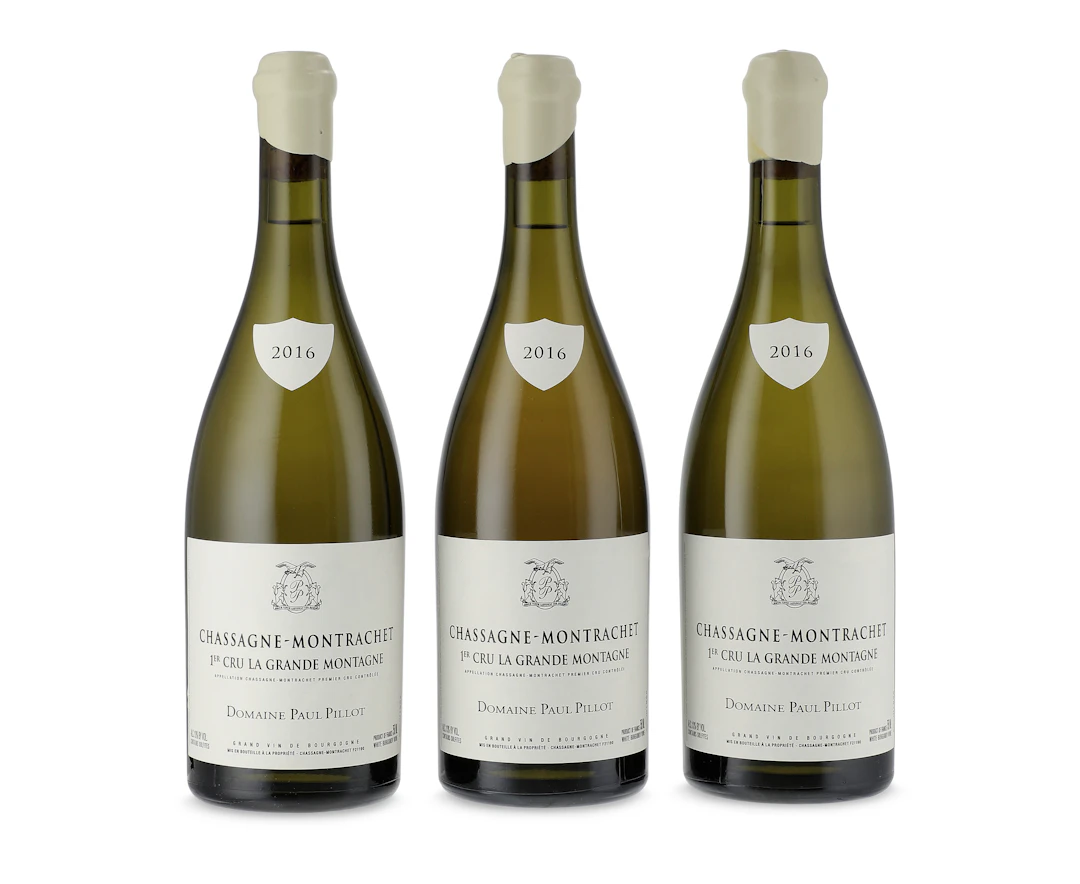 Domaine Paul Pillot, Chassagne-Montrachet, La Grande Montagne 2016