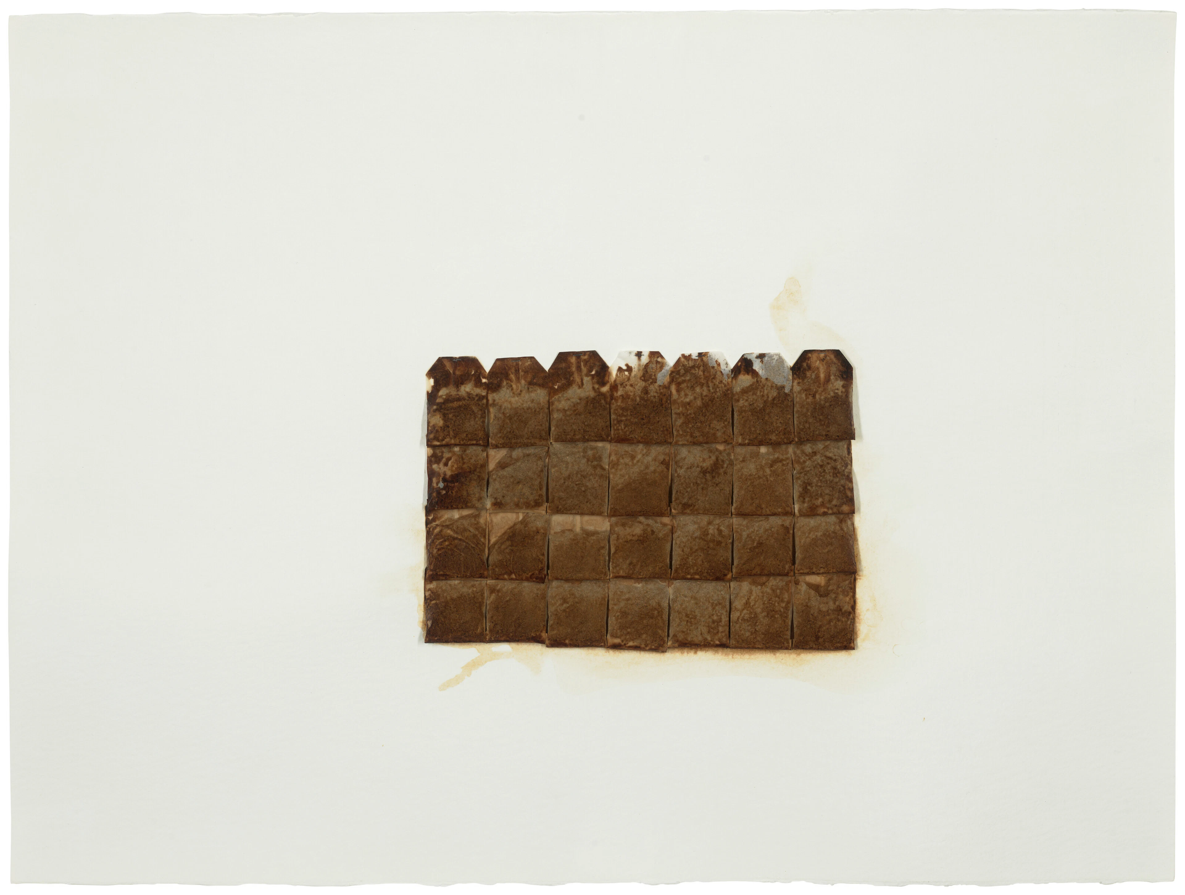 Tania Bruguera (B. 1968)