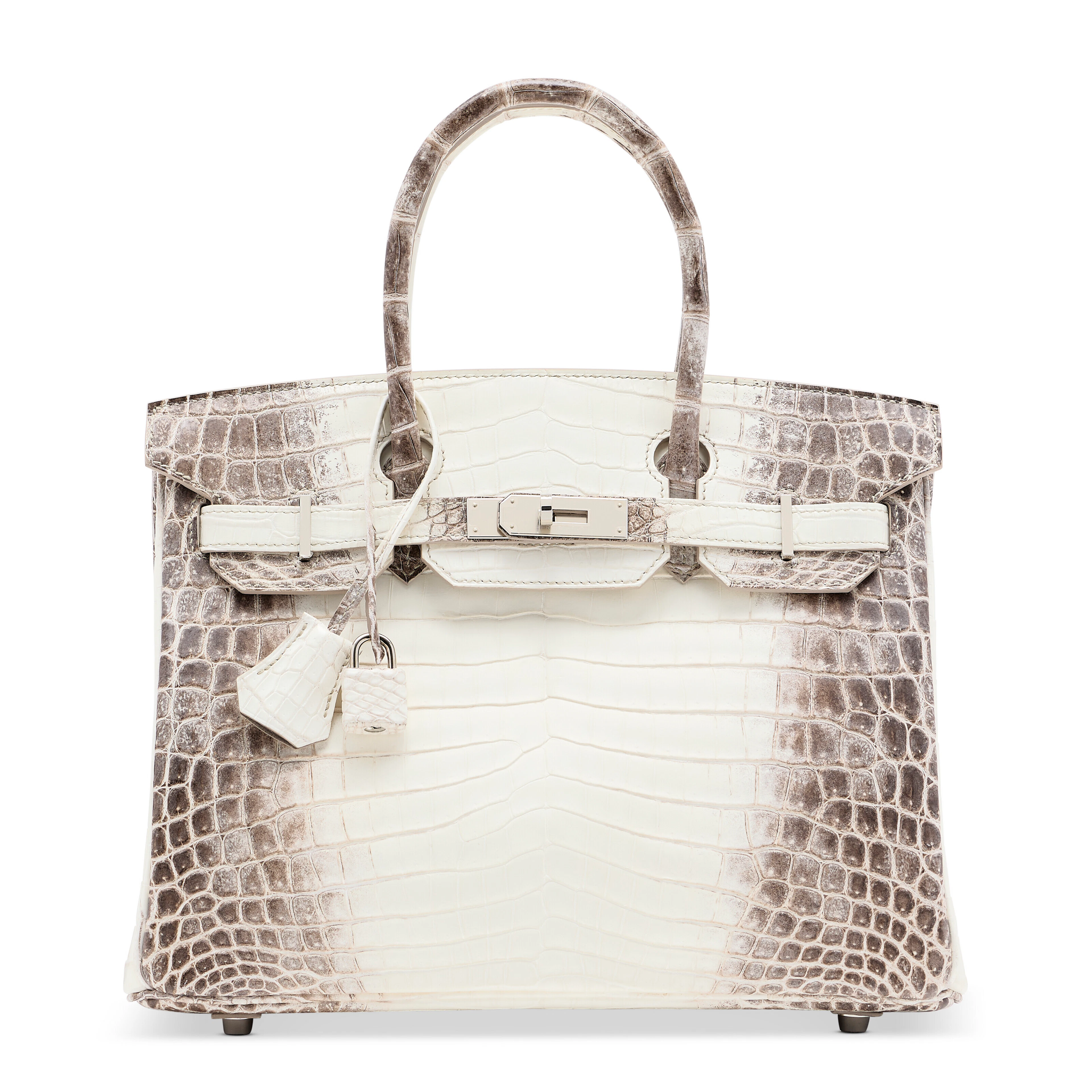 A Rare, Matte White Himalaya Niloticus Crocodile Birkin...