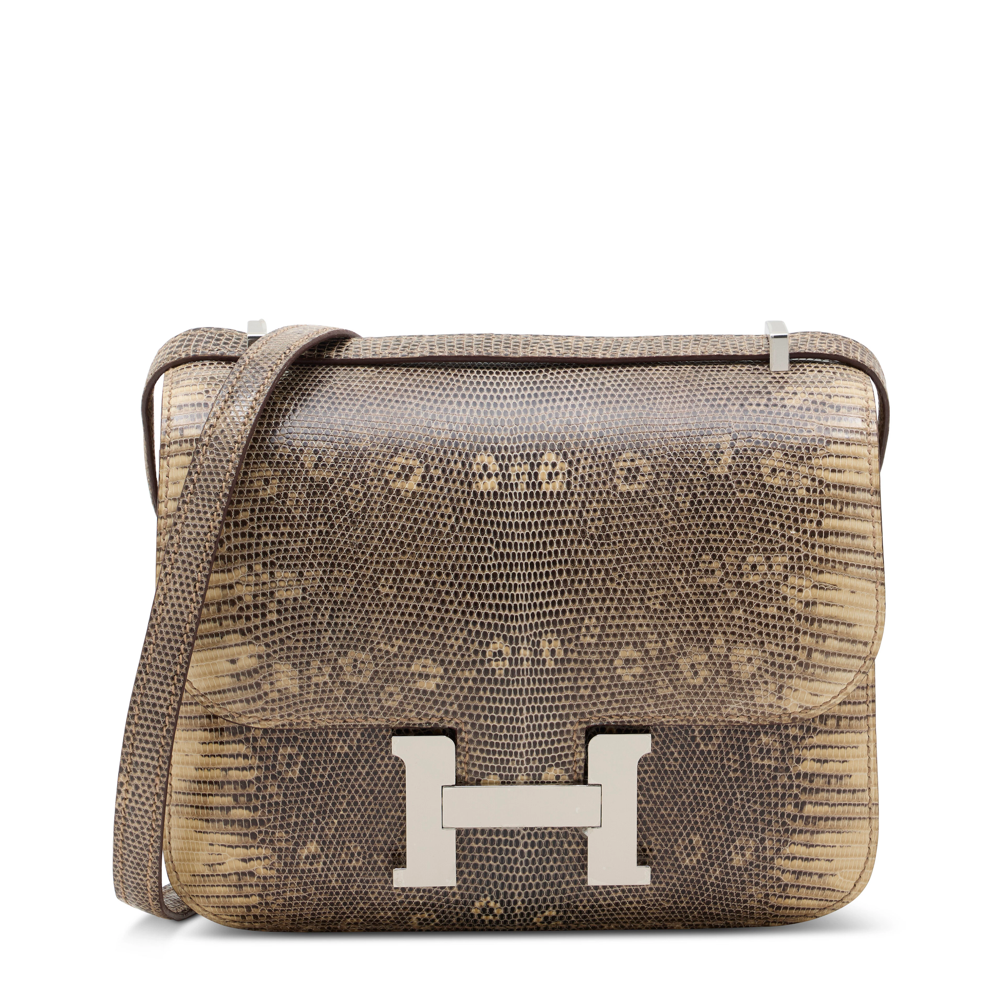 A SHINY DESERT OMBRÉ SALVATOR LIZARD MINI CONSTANCE WITH PALLADIUM HARDWARE
