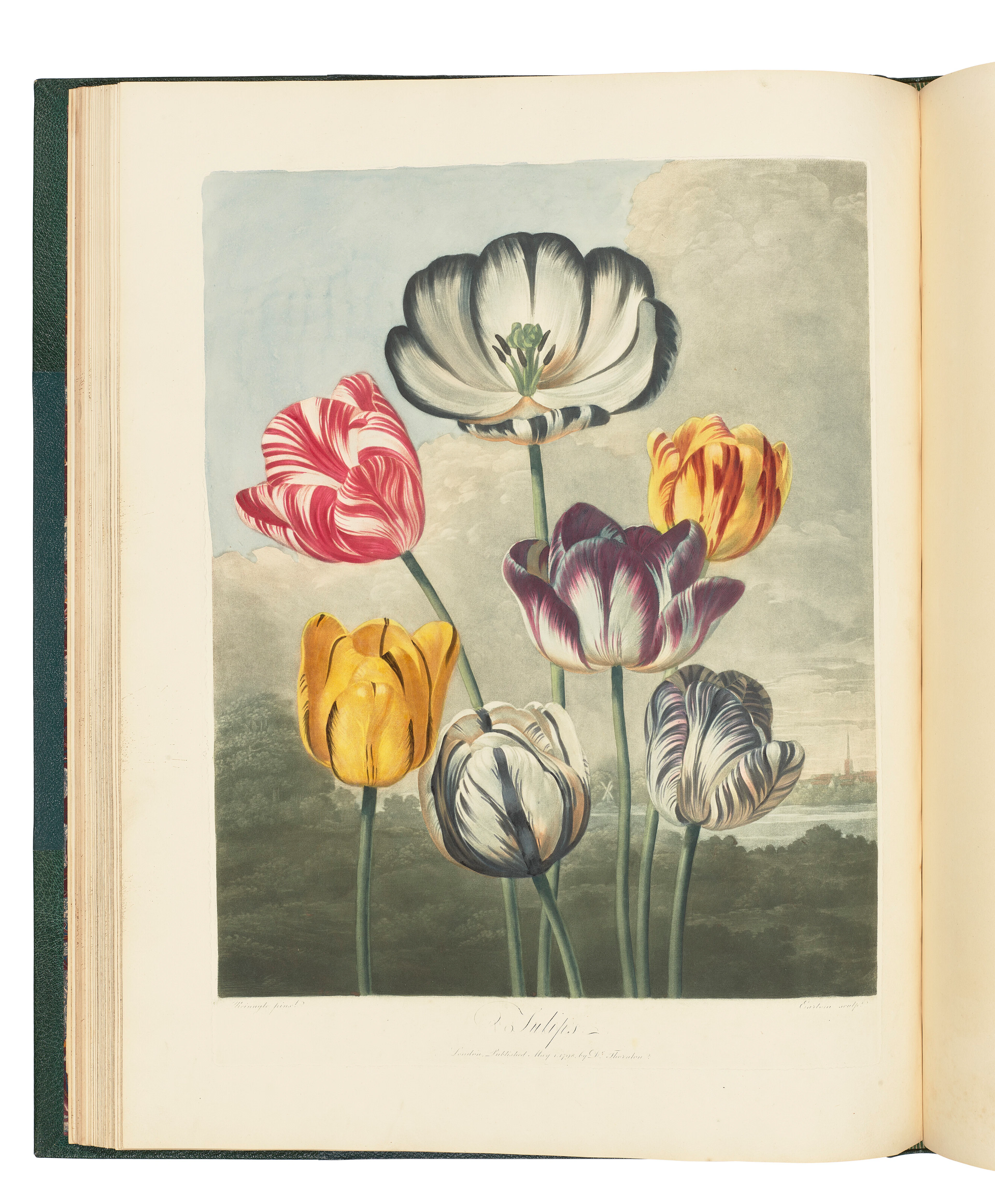 THORNTON, Robert John (1768-1837)